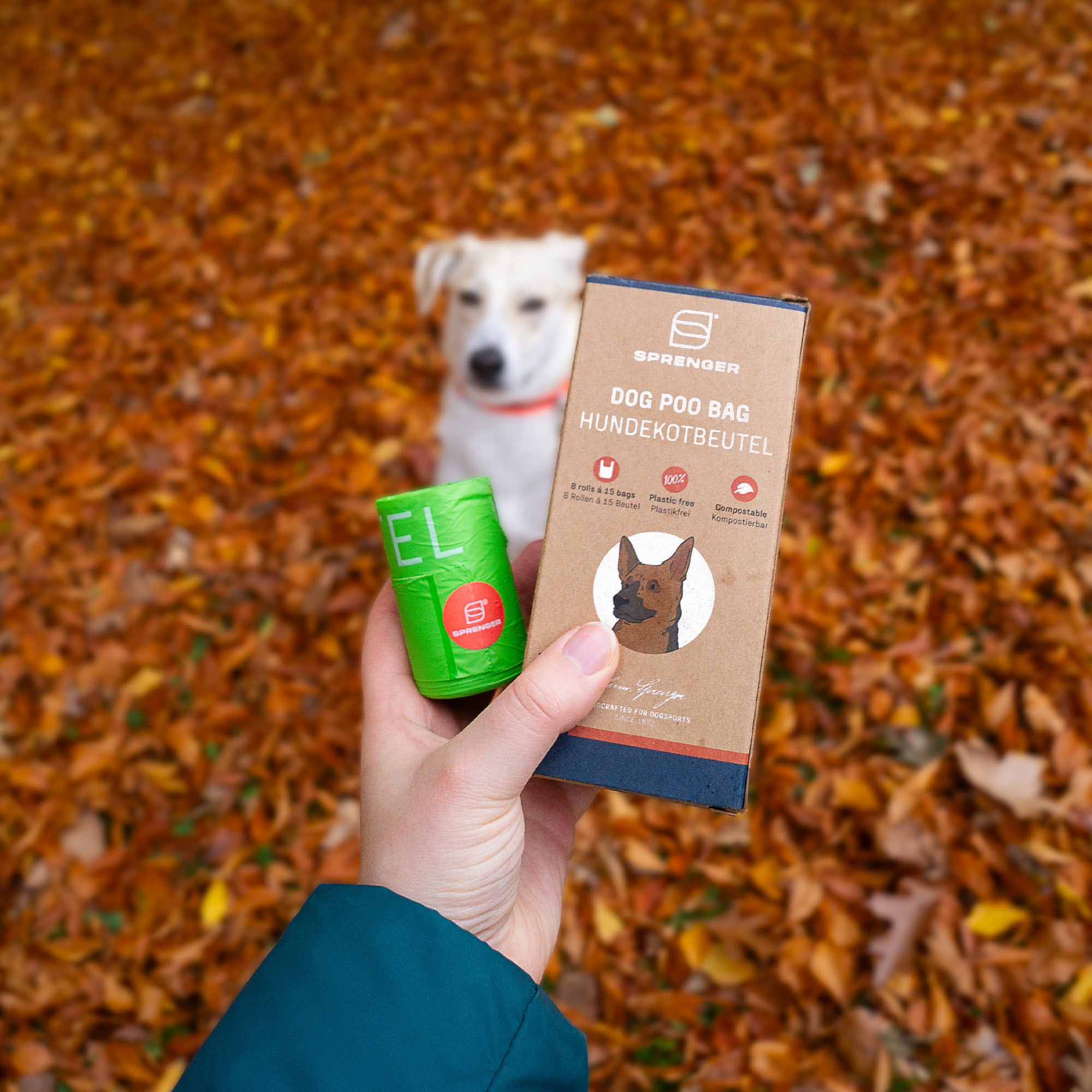 Hundekotbeutel Verpackung und Hundekotbeutel Rolle