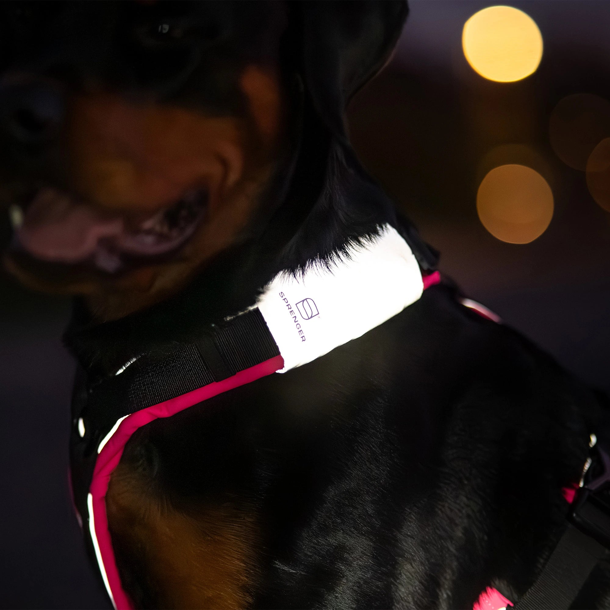 Reflektorpatch Hundegeschirr