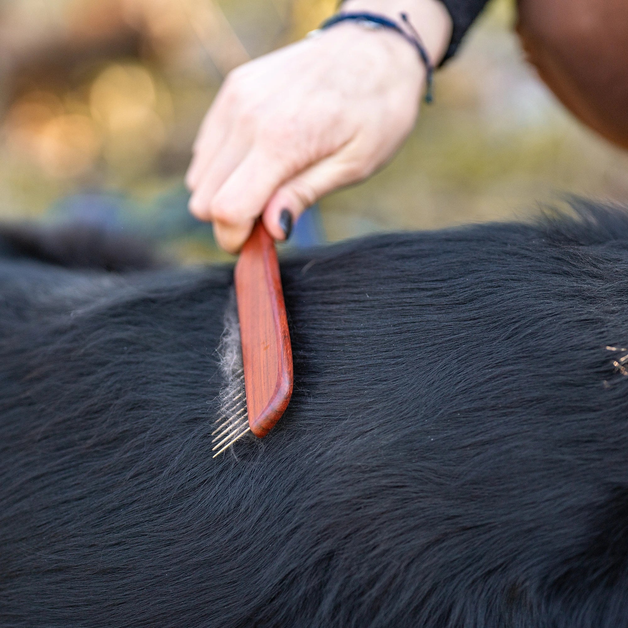 Hundekamm mit Stahlzinken am Hundefell