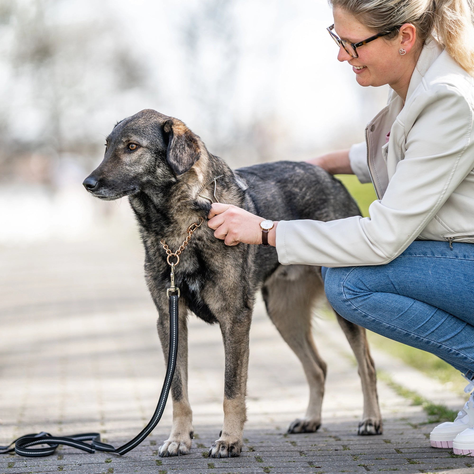 Frau nutzt Hundekratzer Stahl vernickelt am Hund
