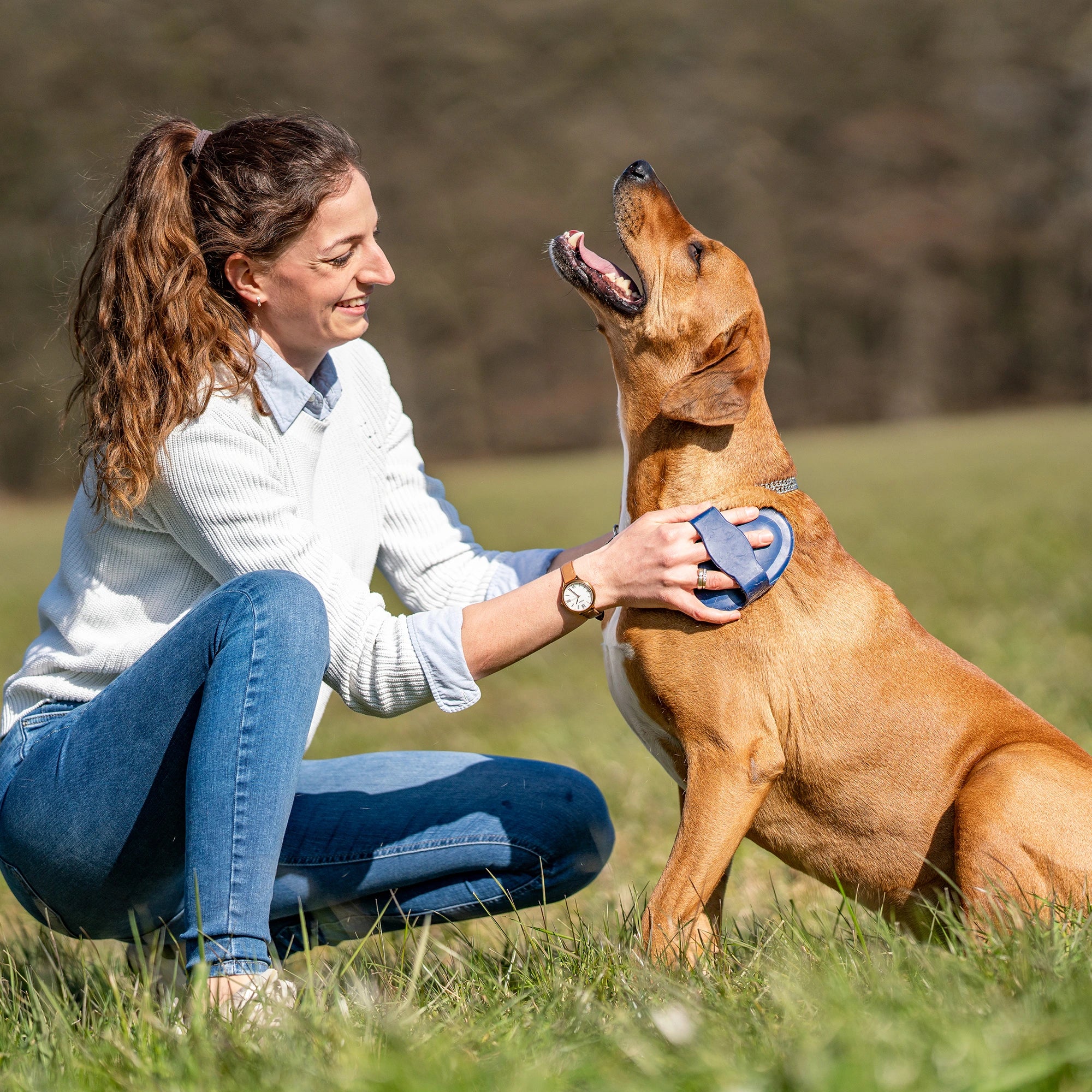 Striegel, oval aus Gummi, blau am Hund