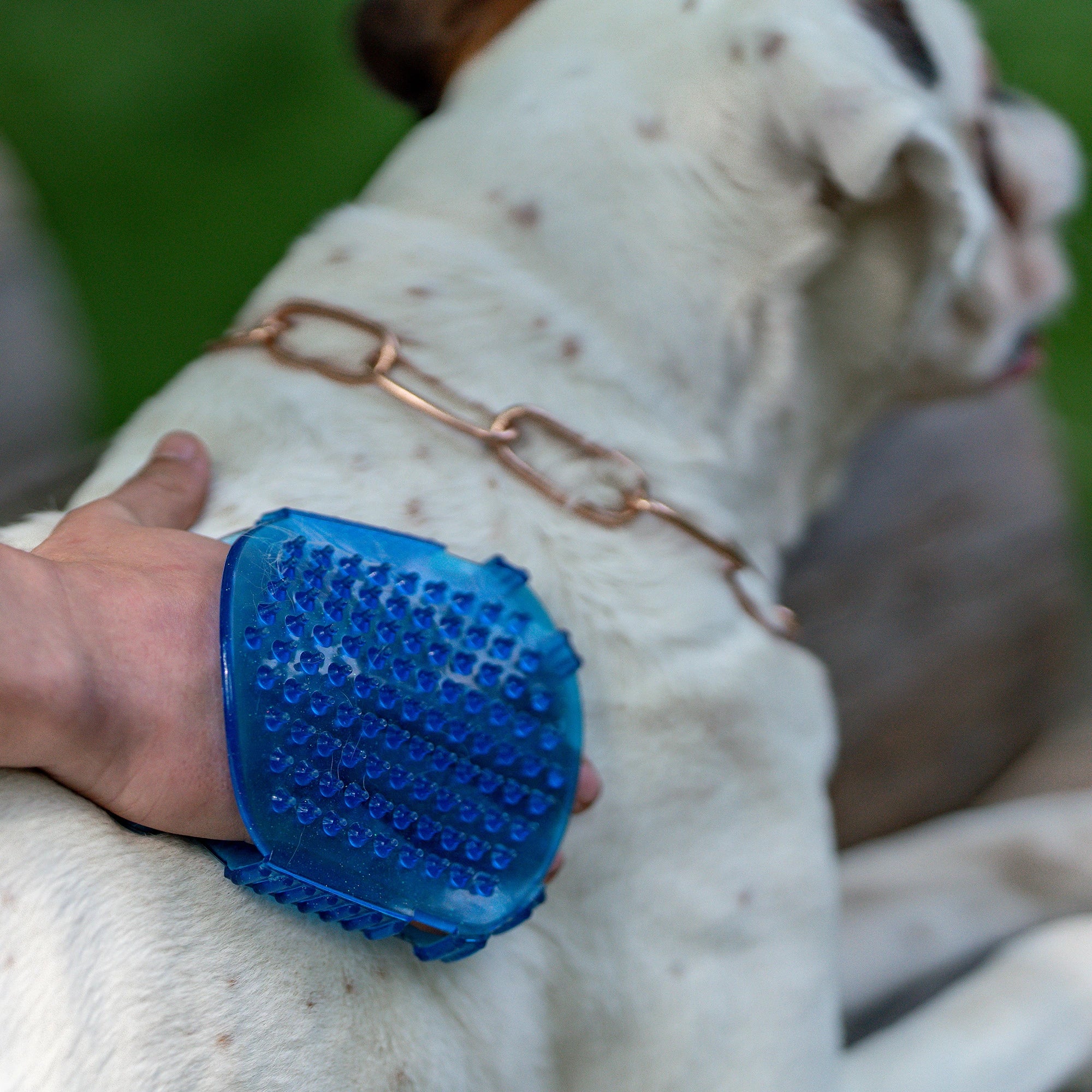 Gel-Massagehandschuh aus Kunststoff ma weißen Hund