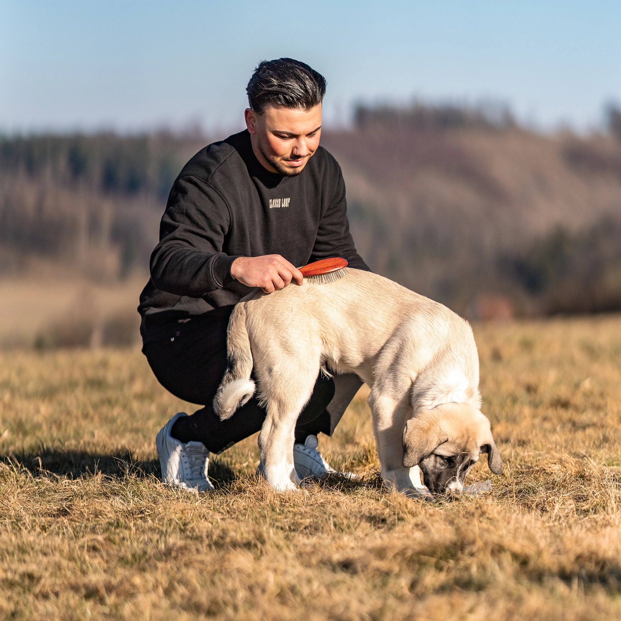 Hundebürste - gestaucht mit Metallstiften am Hund