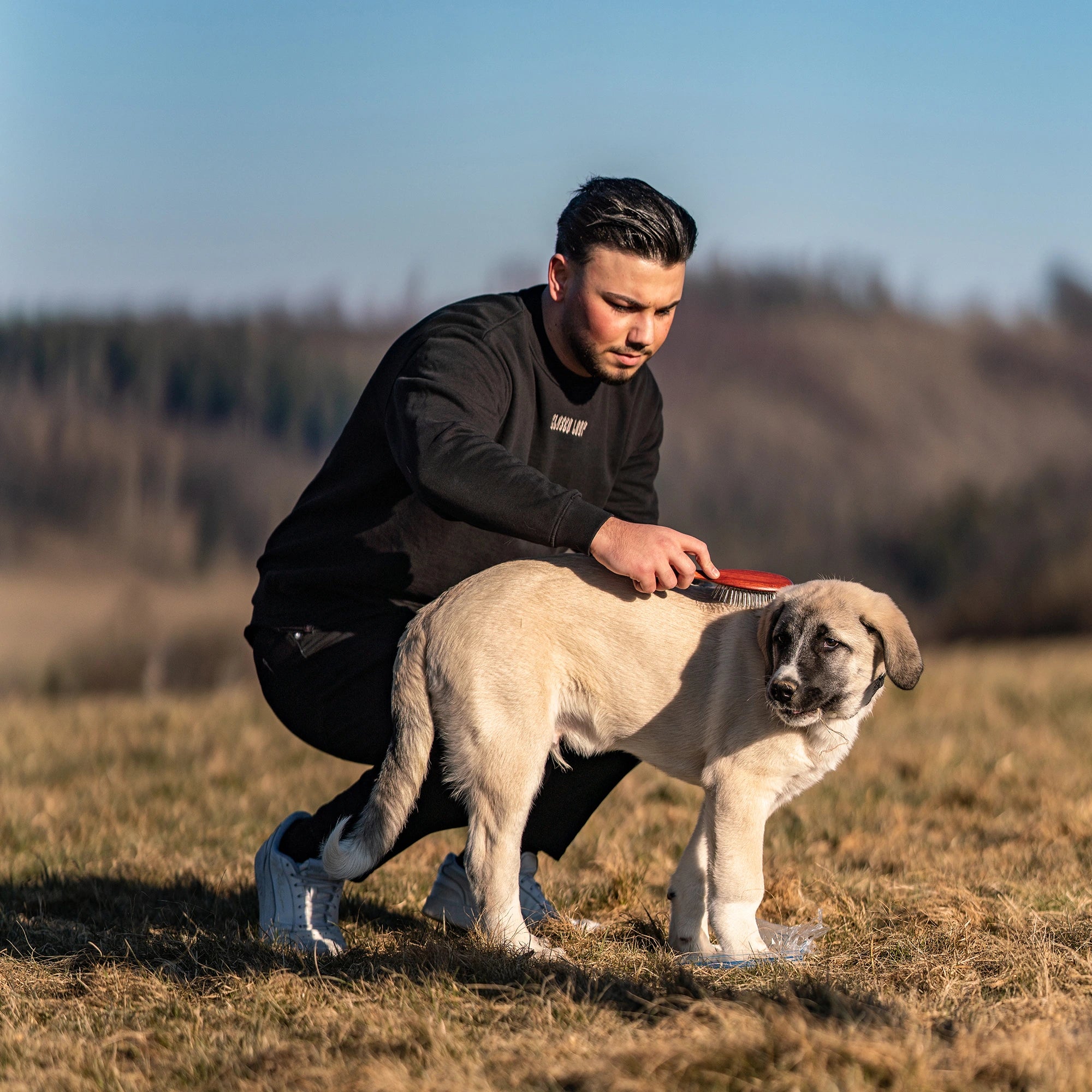 Hundebürste gestaucht mit Metallstiften am Hund