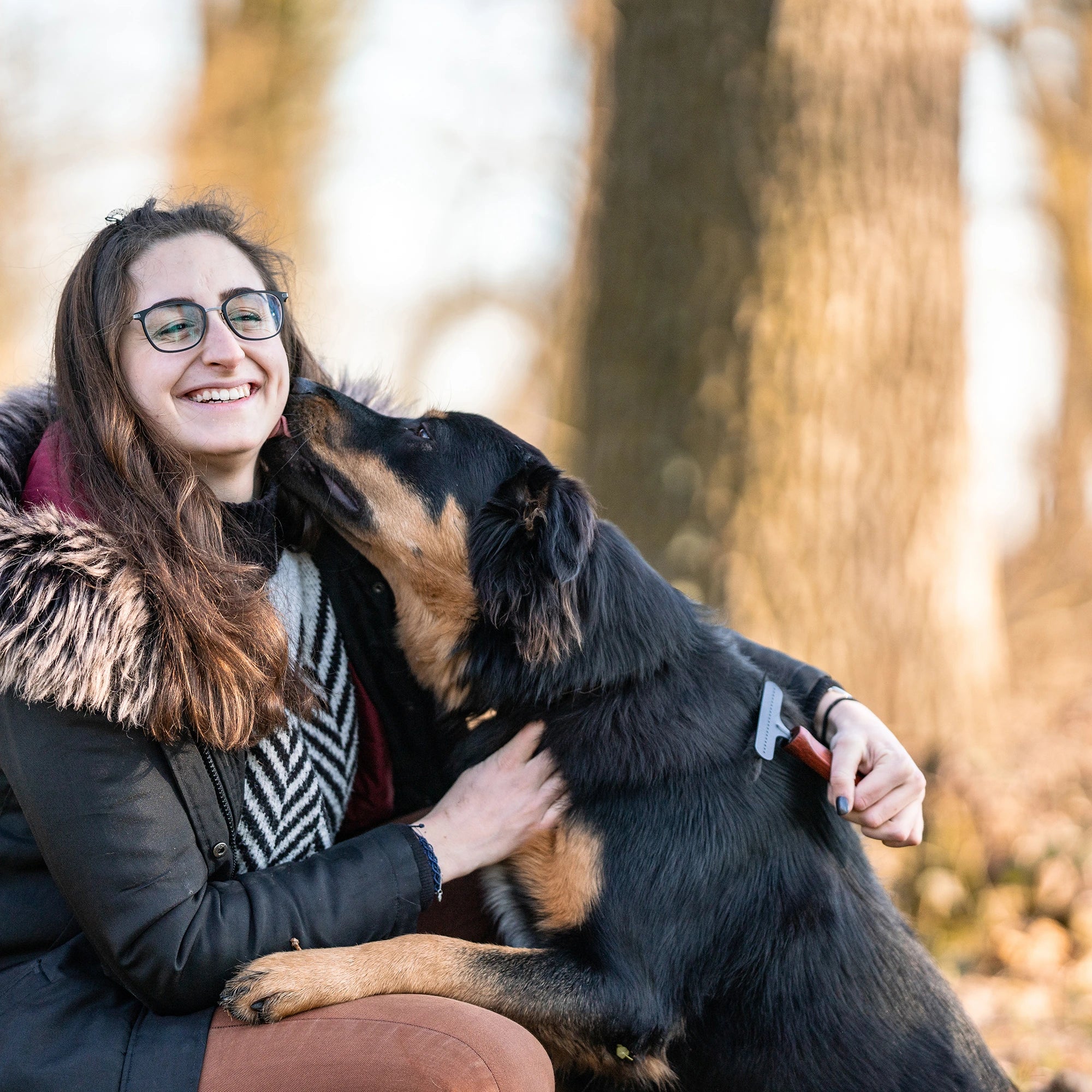 1 reihiger Hundekratzer Stahl beschicht am Hund