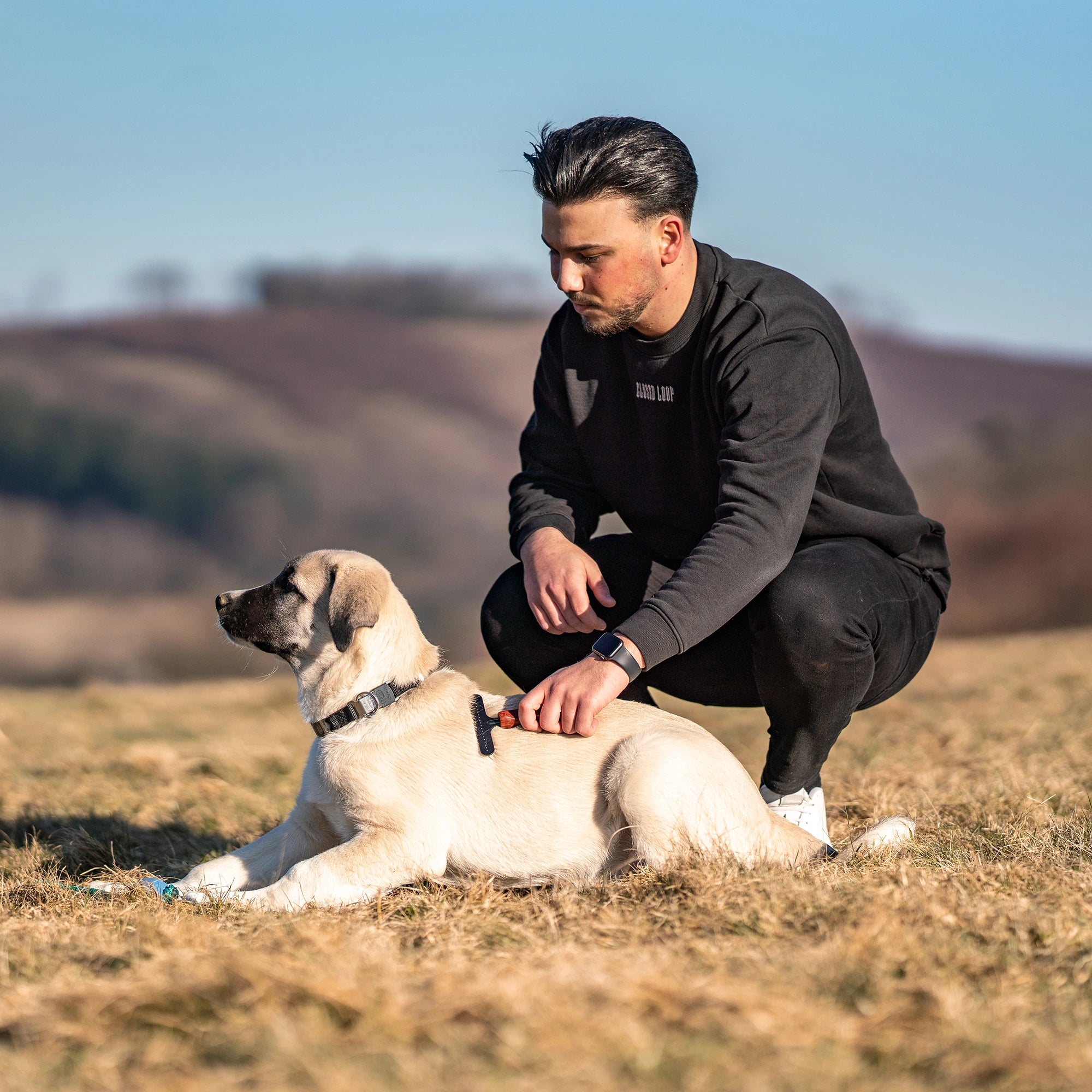 1 reihiger Hundekratzer Stahl beschicht am Hund