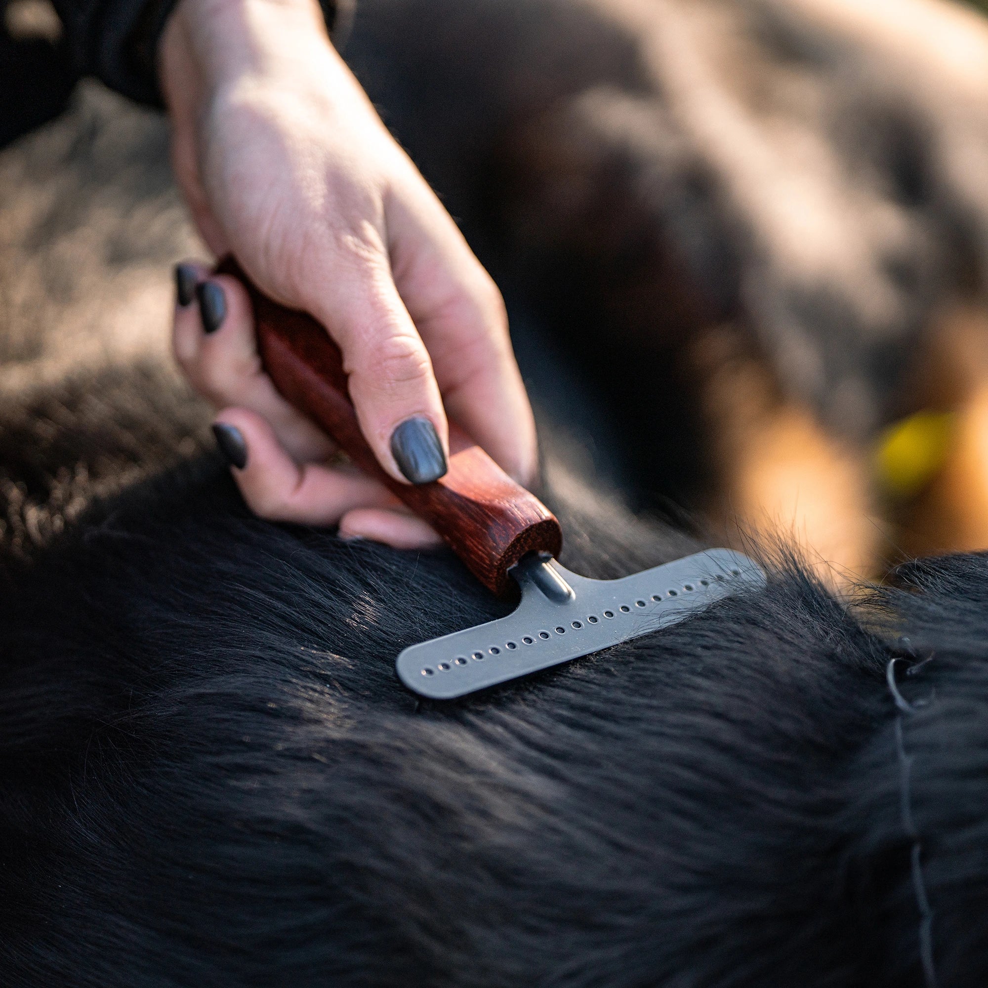 1 reihiger Hundekratzer Stahl beschicht am Hundefell