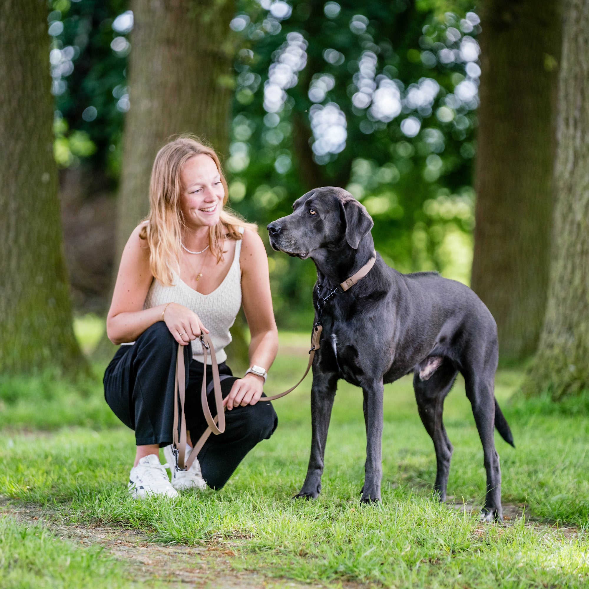 schwarzer Hund mit braunen Biothane Halsband und brauner Biothane Hundeleine im Wald