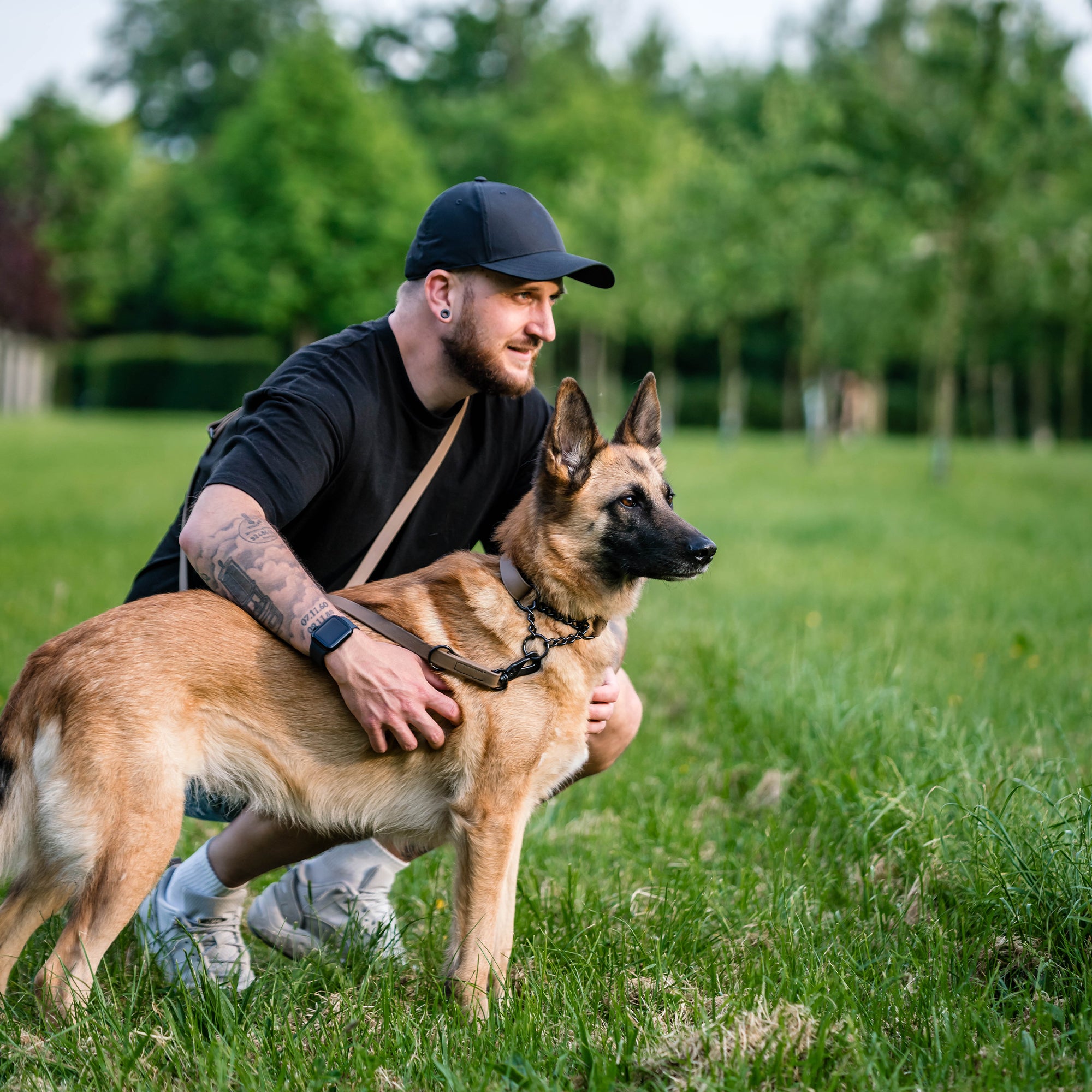 Hund mit braunen Biothane Halsband und brauner Biothane Hundeleine auf der Wiese