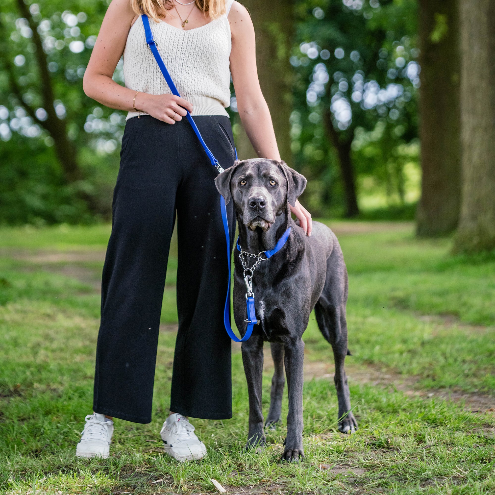 schwarzer Hund mit blauen Biothane Halsband und blauer Biothane Hundeleine