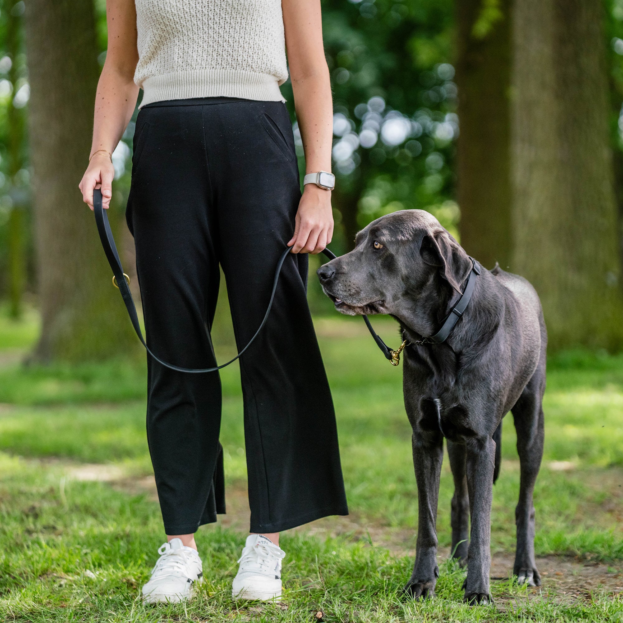 schwarzer Hund mit schwarzen Biothane Halsband und schwarzen Biothane Hundeleine im Wald