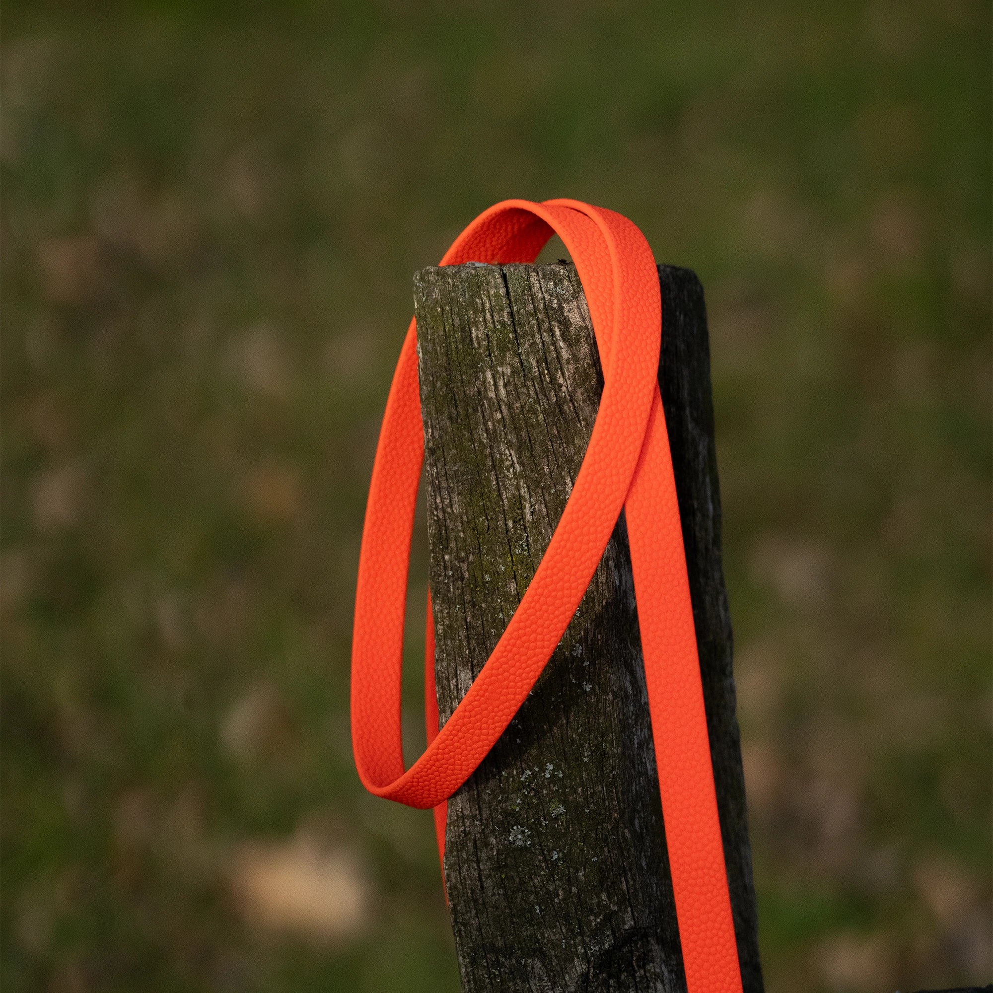 orangene Biothane Footballgrip Hundeleine auf einem Zaunpfahl