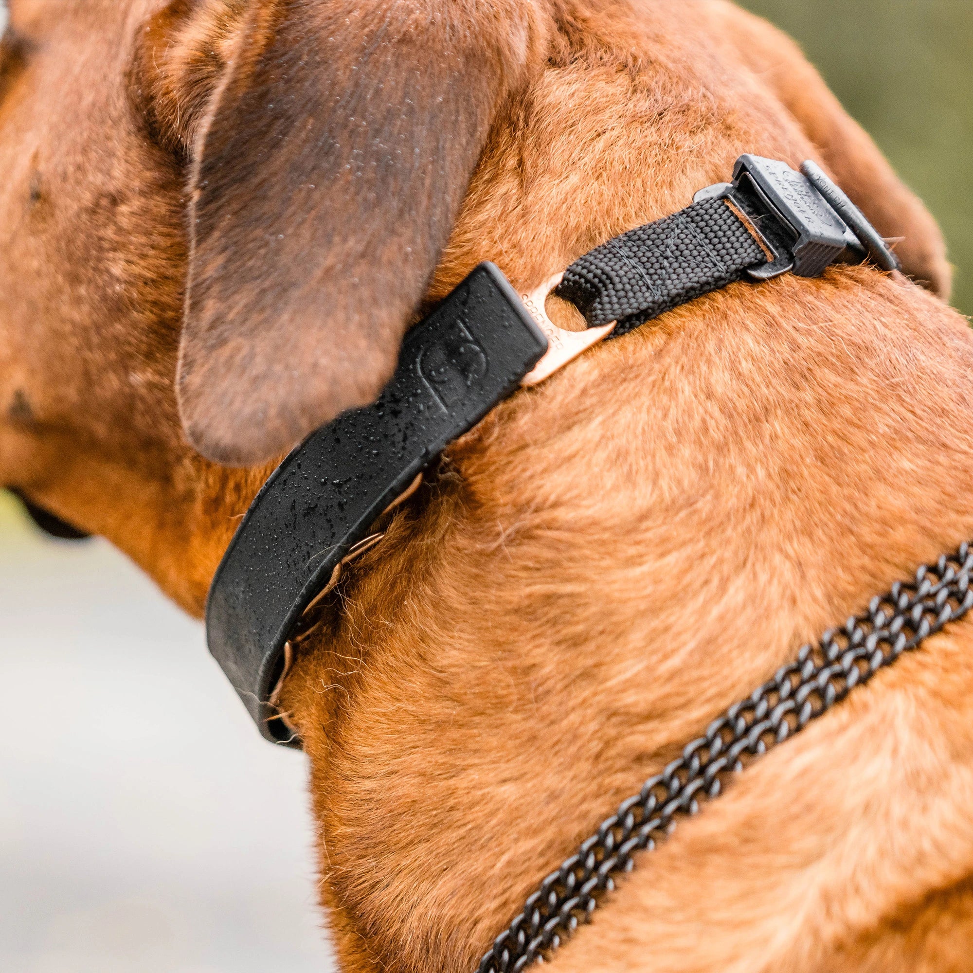 Verkleidung für ULTRA-PLUS Stachelhalsband - Gummi