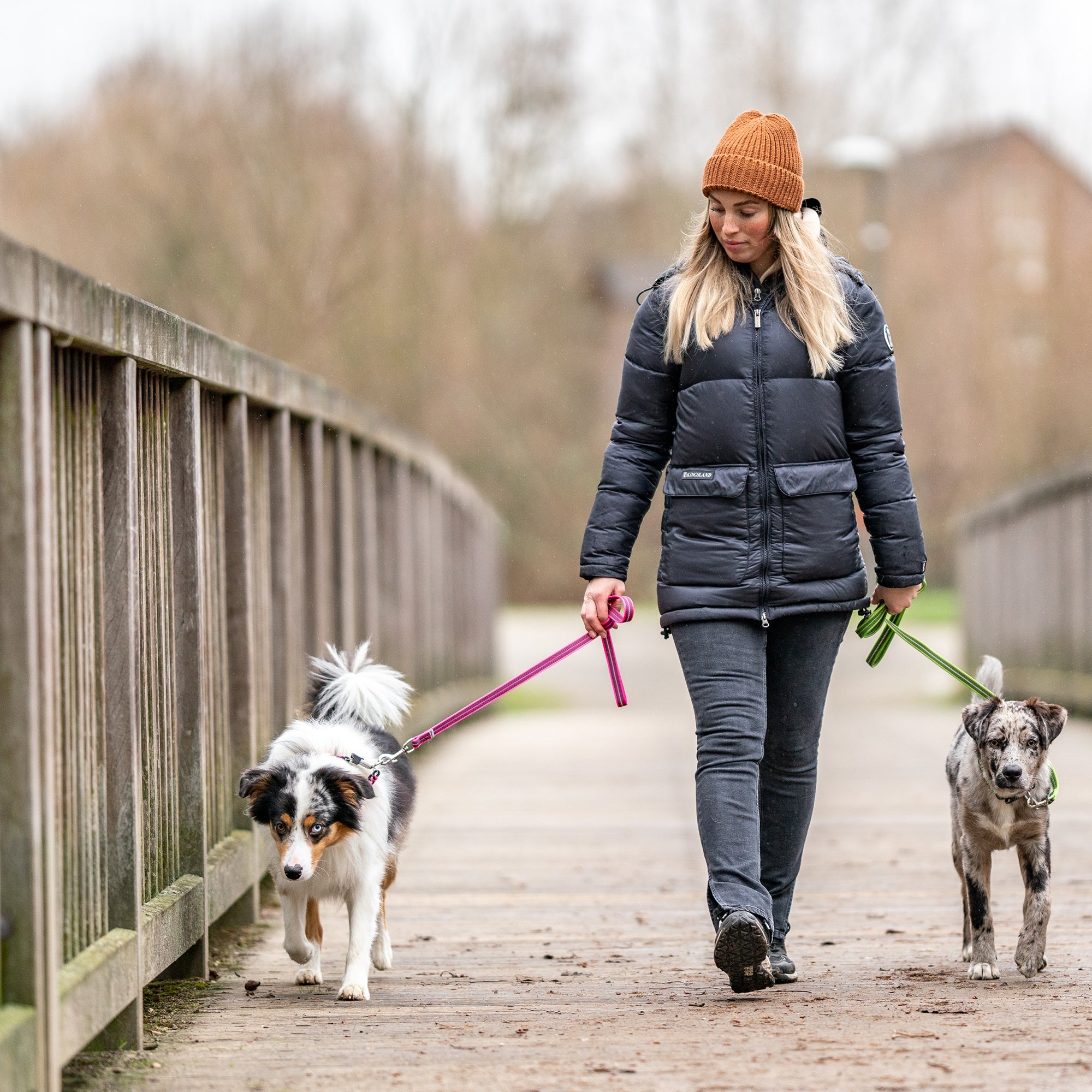 Frau mit Hunden mit verschieden farbigen Leinen beim spazieren
