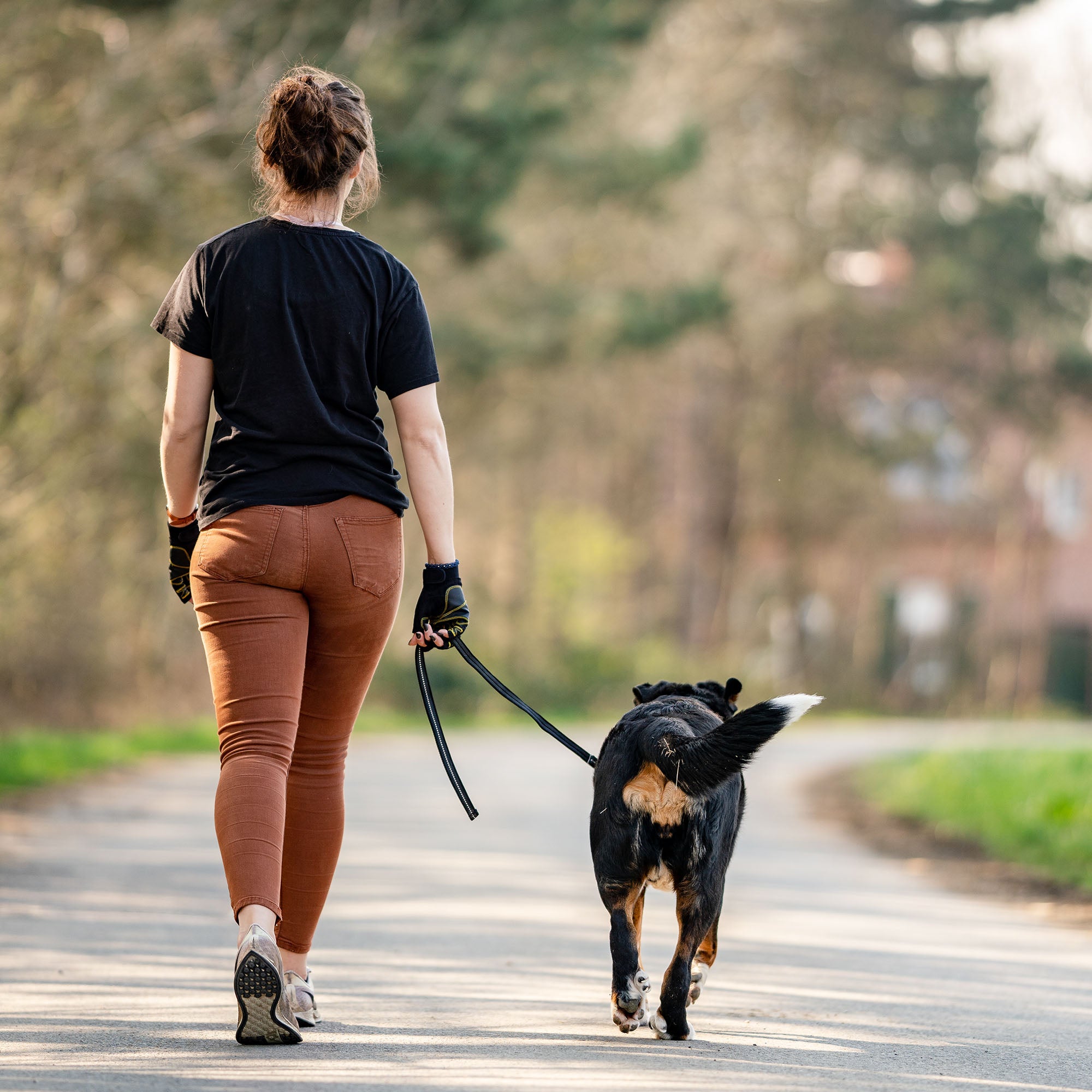 Frau und Hund mit schwarzen Kurzführer beim spazieren