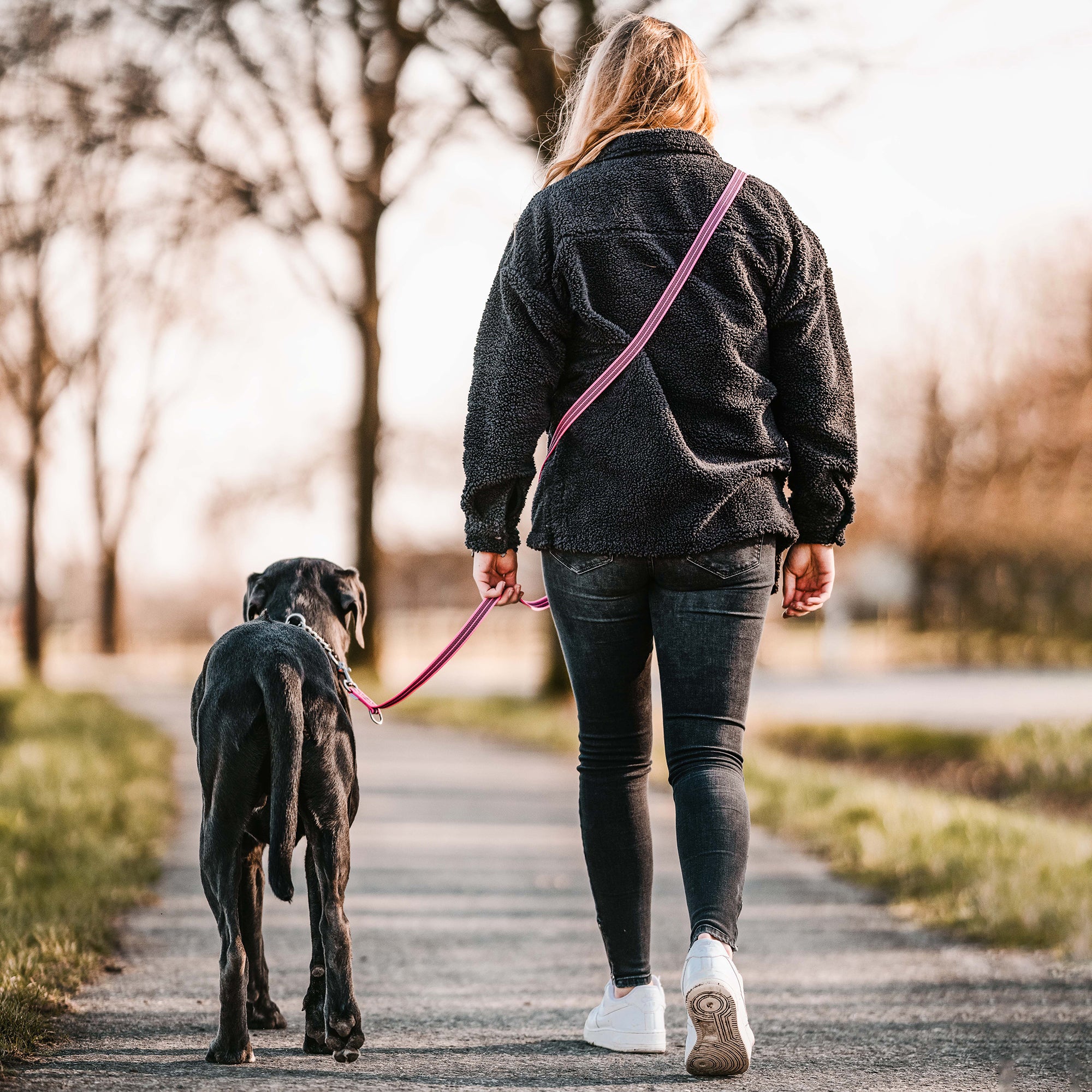 schwarzer Hund mit pinker Hundeleine am spazieren