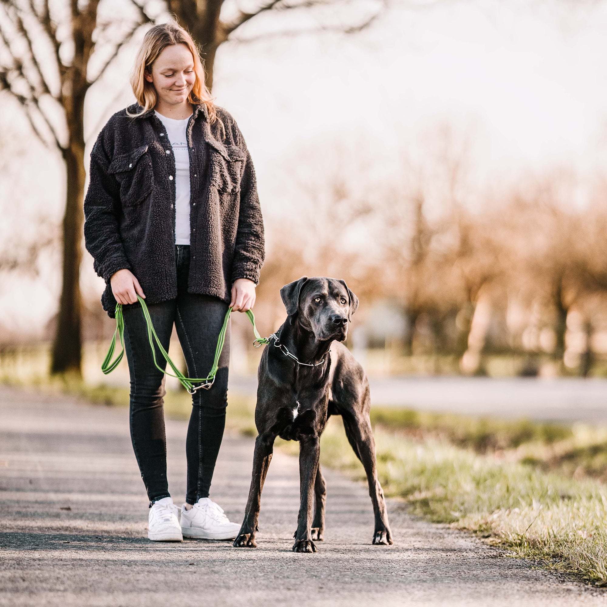 schwarzer Hund mit Edelstahl Kettenhalsband und grüner Leine
