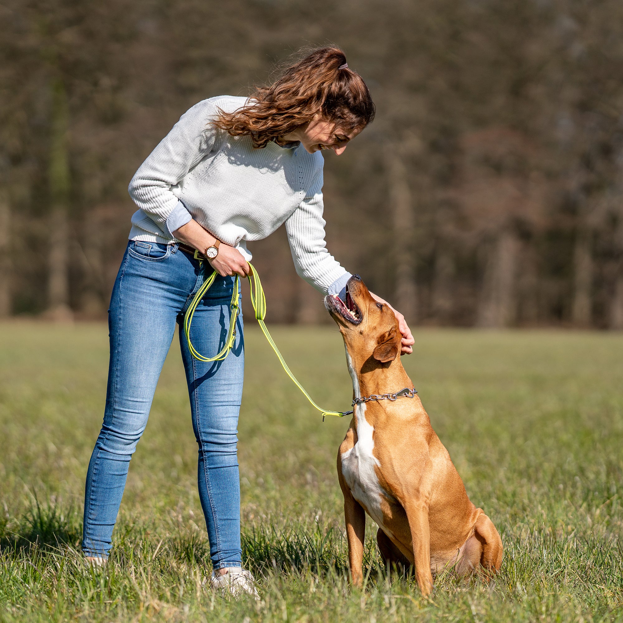 Frau und Hund mit neon gelber 3-fach verstellbarer Hundeleine auf der Wiese