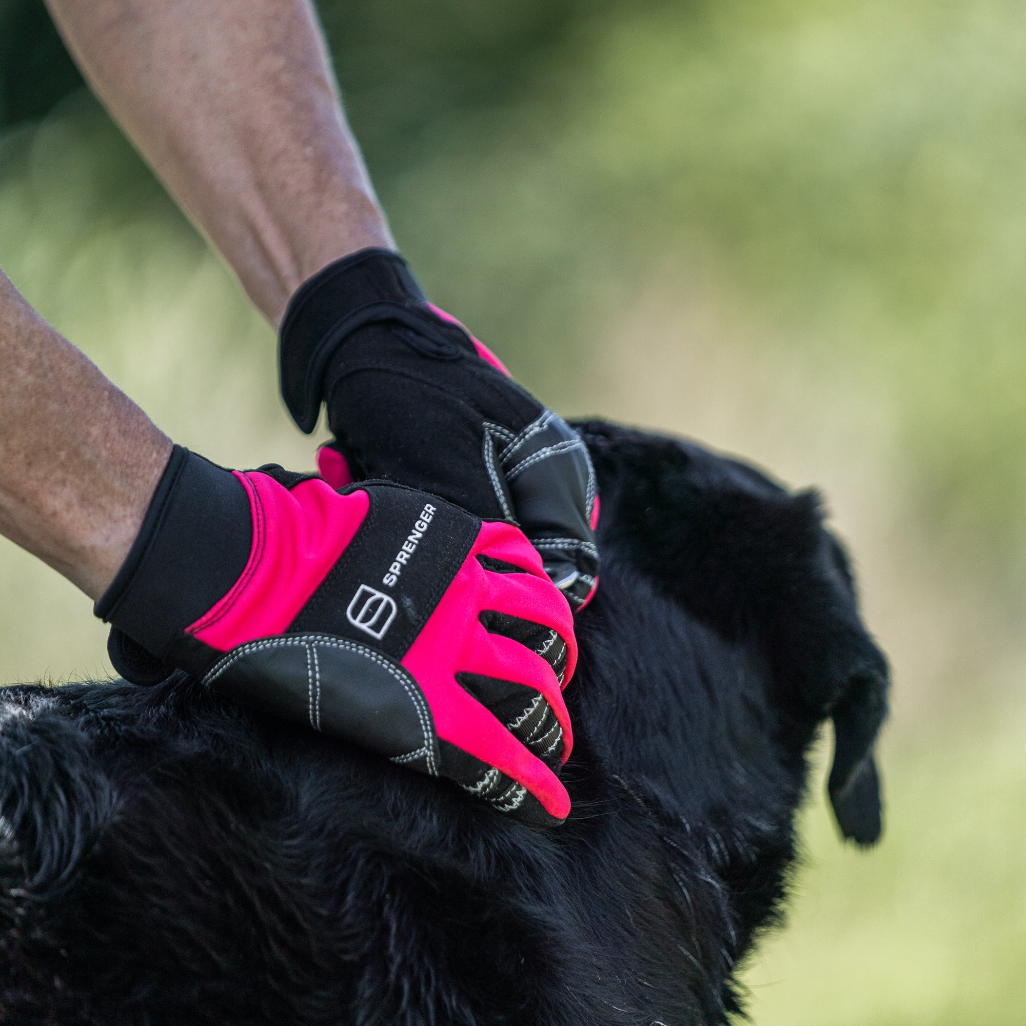 Flexgrip Comfort Handschuhe pink am Hund