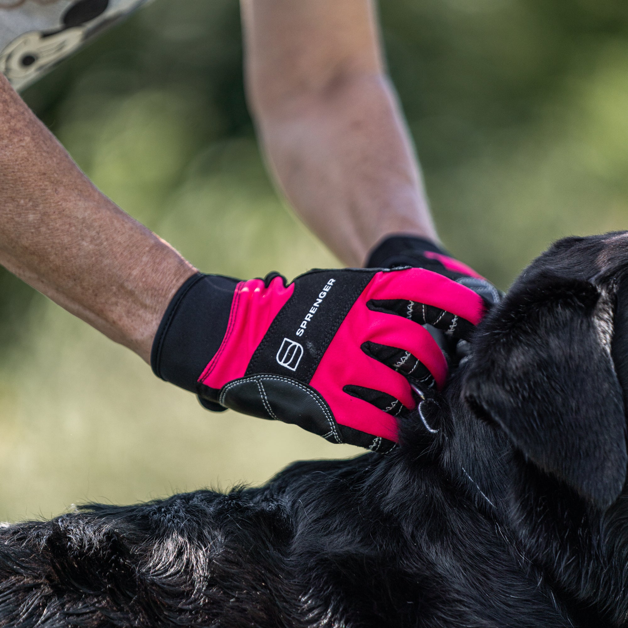 Flexgrip Comfort Handschuhe pink am Hund