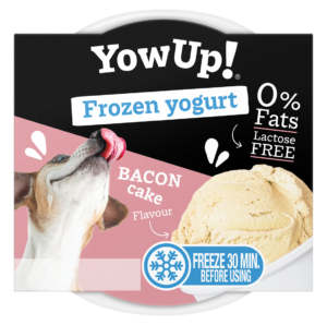 Frozen Yogurt Speckkuchen