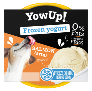 Frozen Yogurt Lachs Tartar