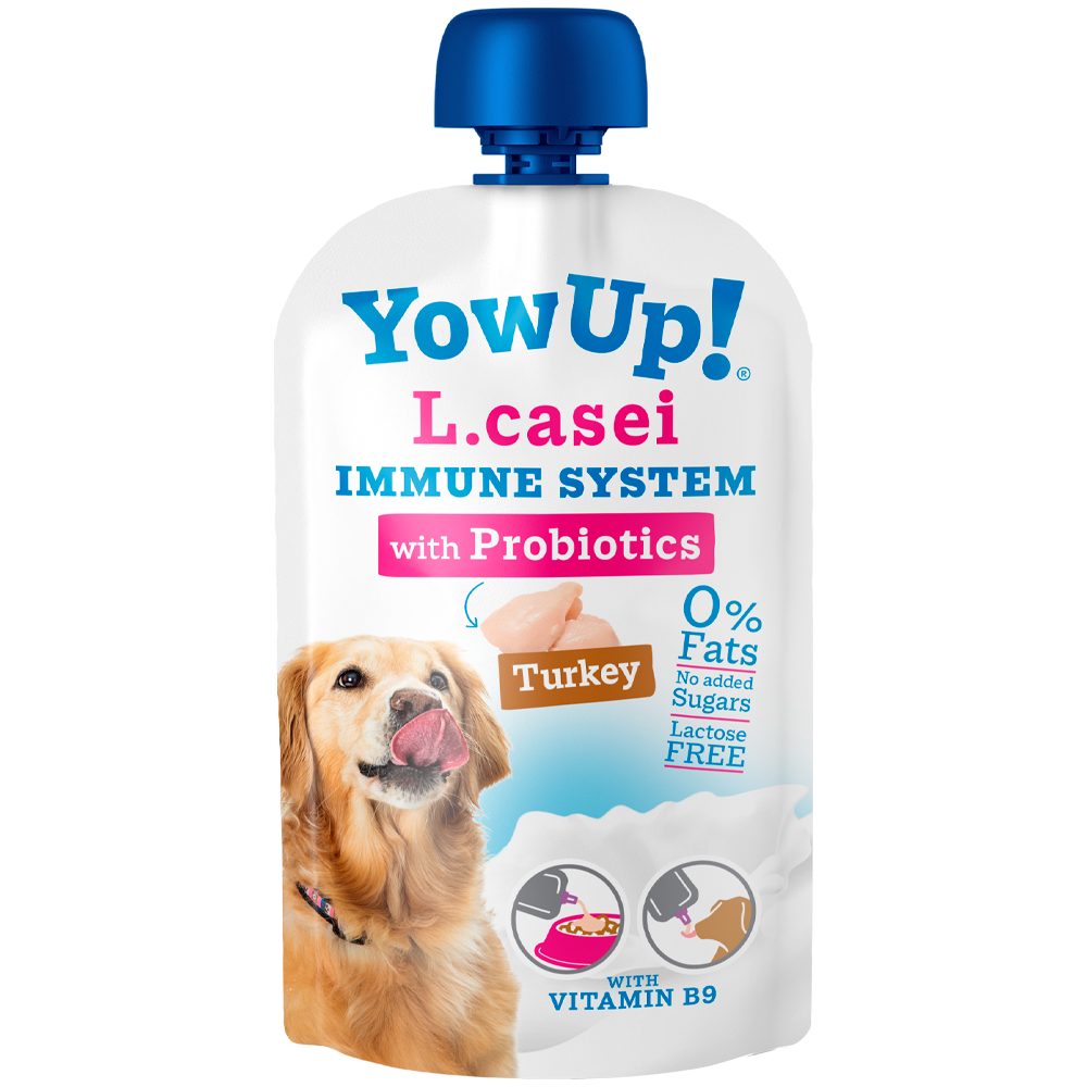 Hunde Joghurt Lcasei Truthahn