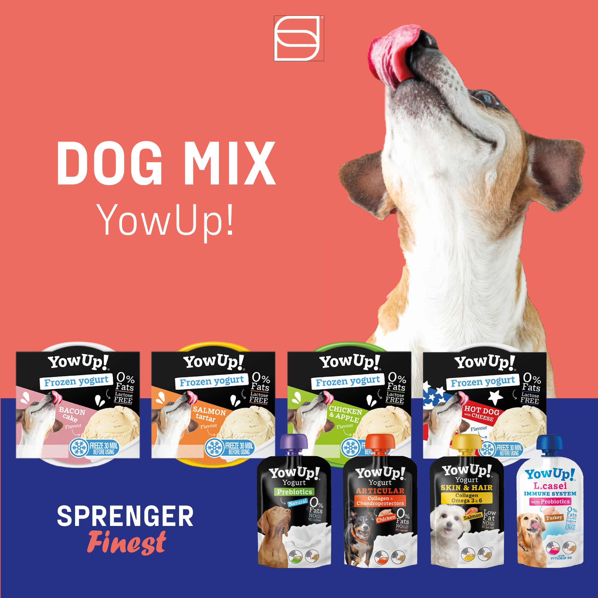 YowUp! Bundle – Frozen Yogurt & Joghurt Mixed Selection (12+10 Stück)