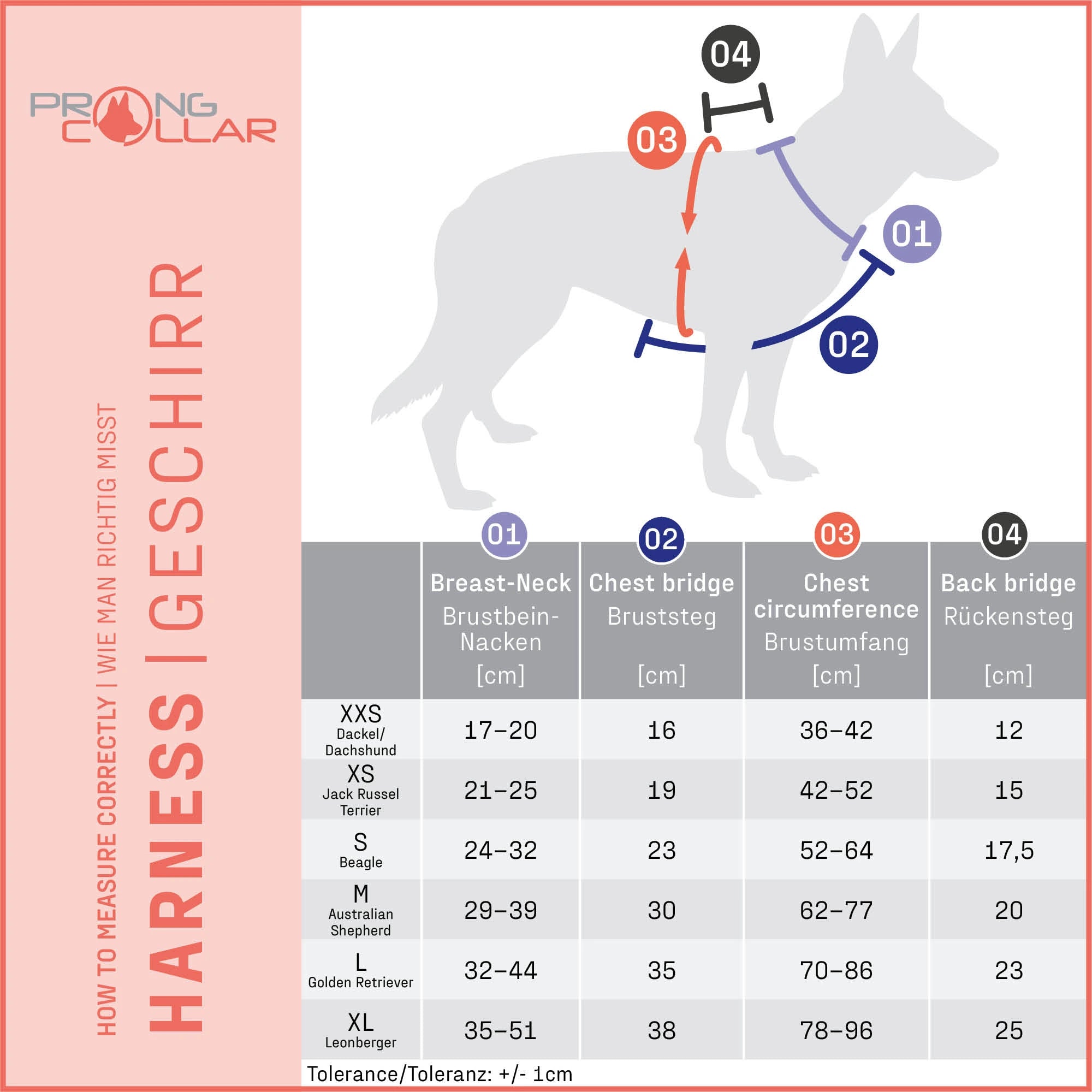Hundegeschirr Y-Geschirr 2.0