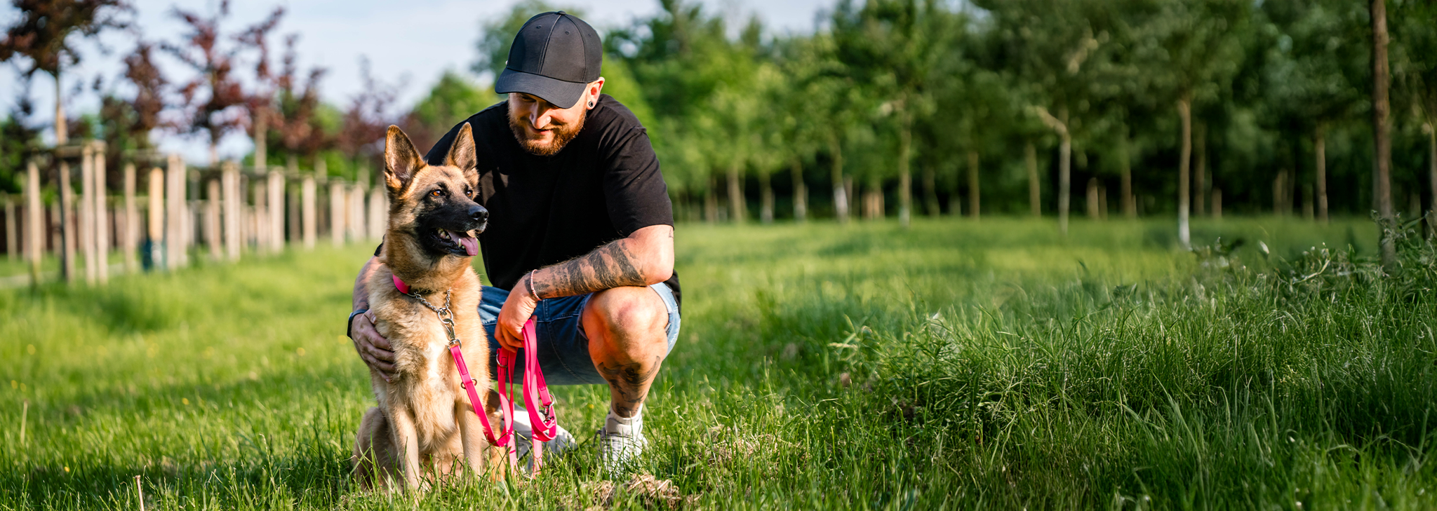 Schäferhund sitzt mit seinem Herrchen auf der Wiese und hat ein Biothane Halsband und Leine in pink an