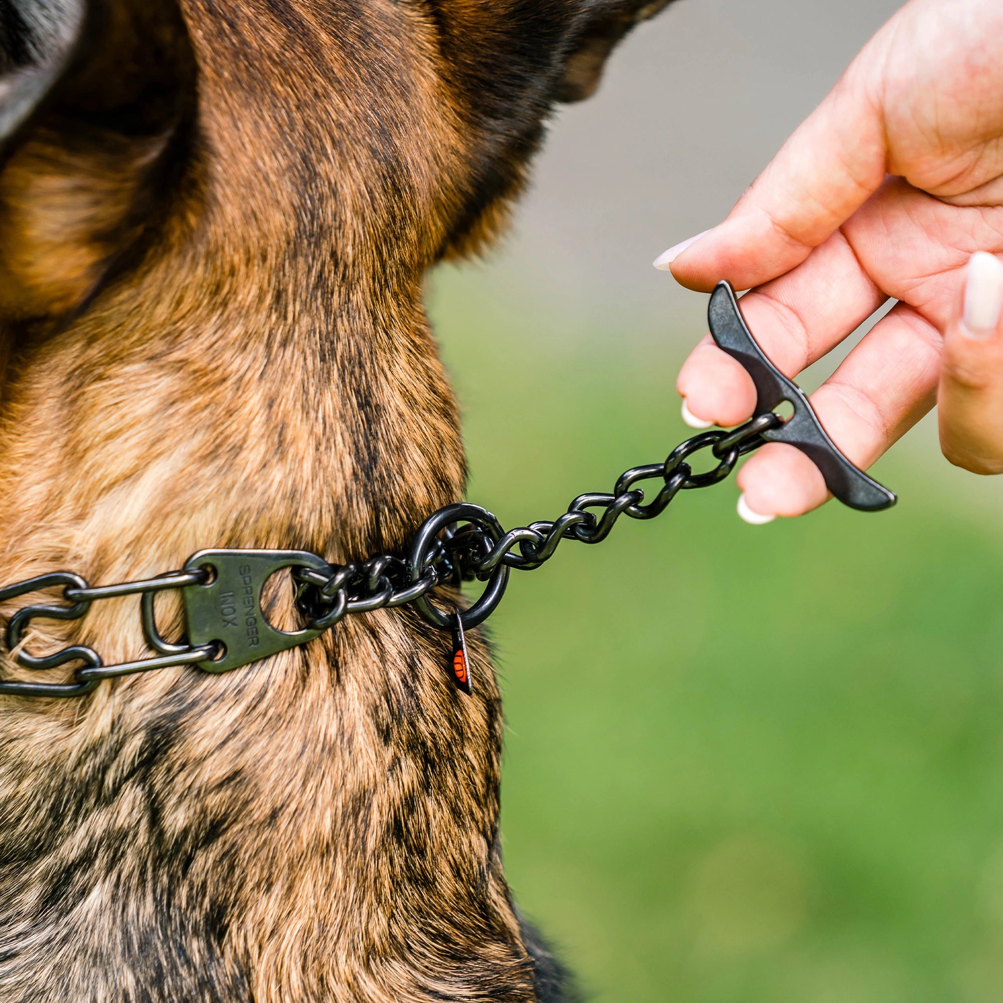 Haken der am Hund anliegenden schwarzen Edelstahl Dressurhalskette