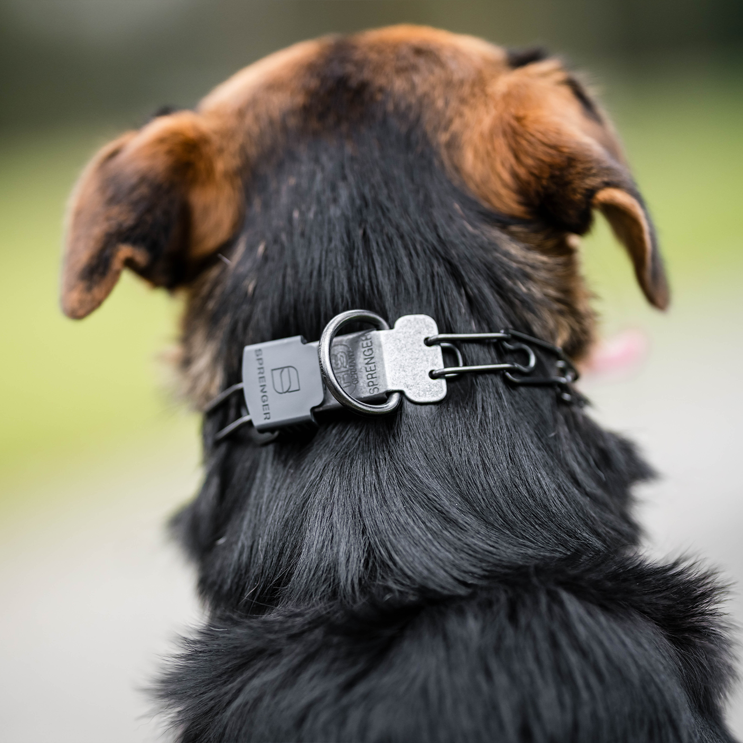 Richtig messen - finde die richtige Länge für dein Kettenhalsband
