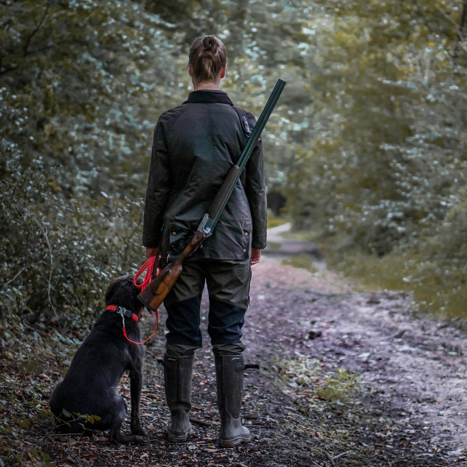 Ausrüstung für Jagdhunde: Was Hund und Hundeführer wirklich brauchen