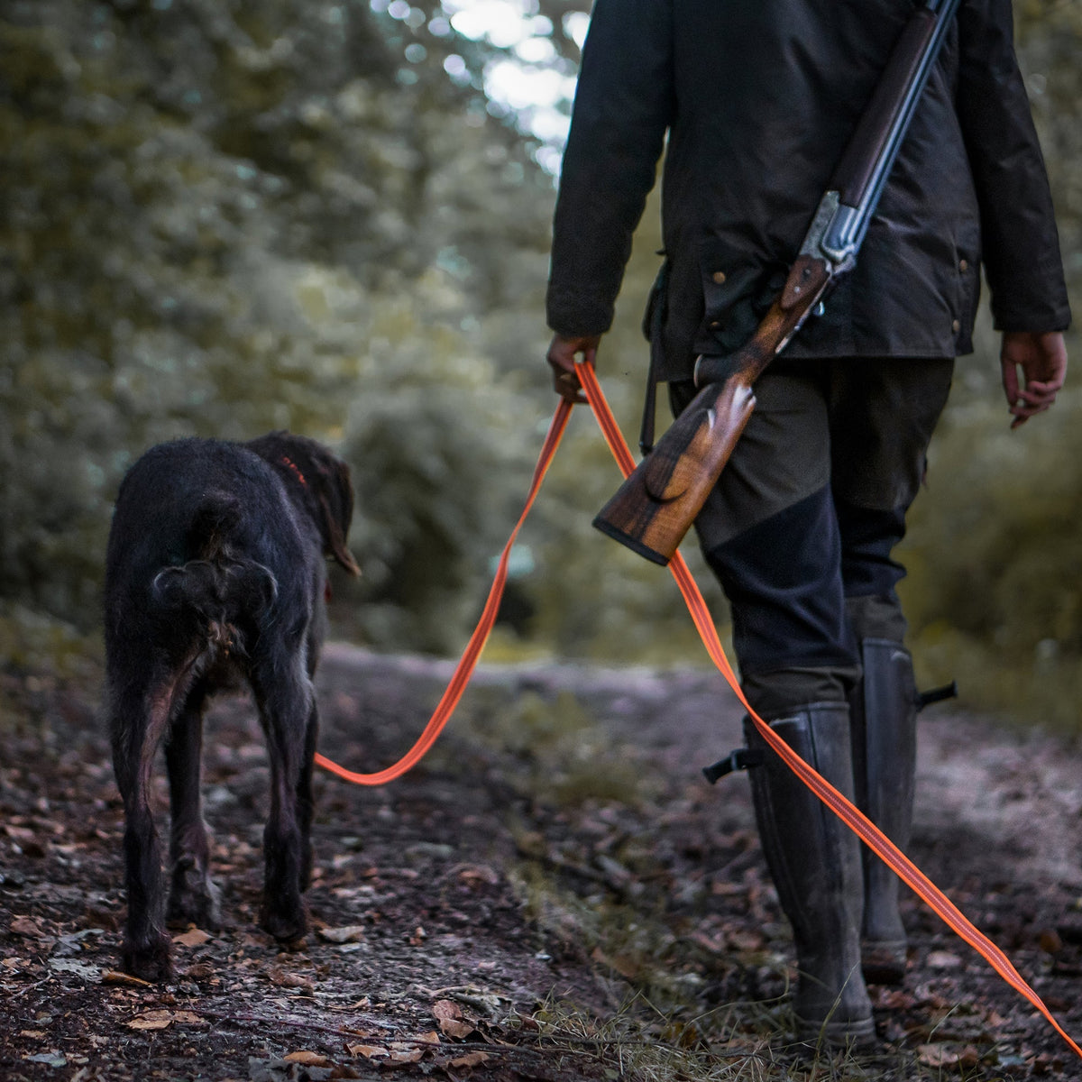 Ausrüstung Jagdhund