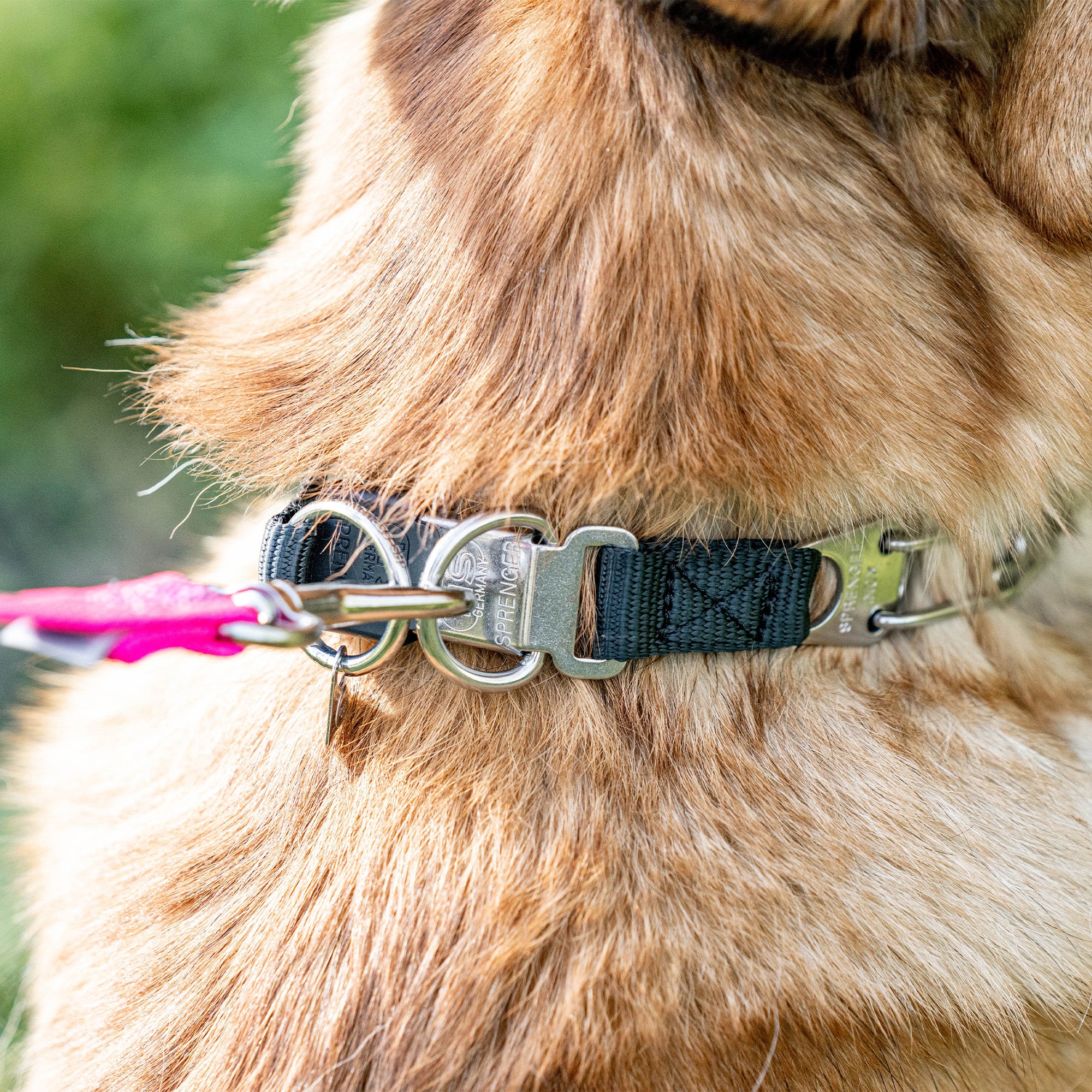 ULTRA-PLUS Training Collar with Center Plate and ClicLock - Stainless steel