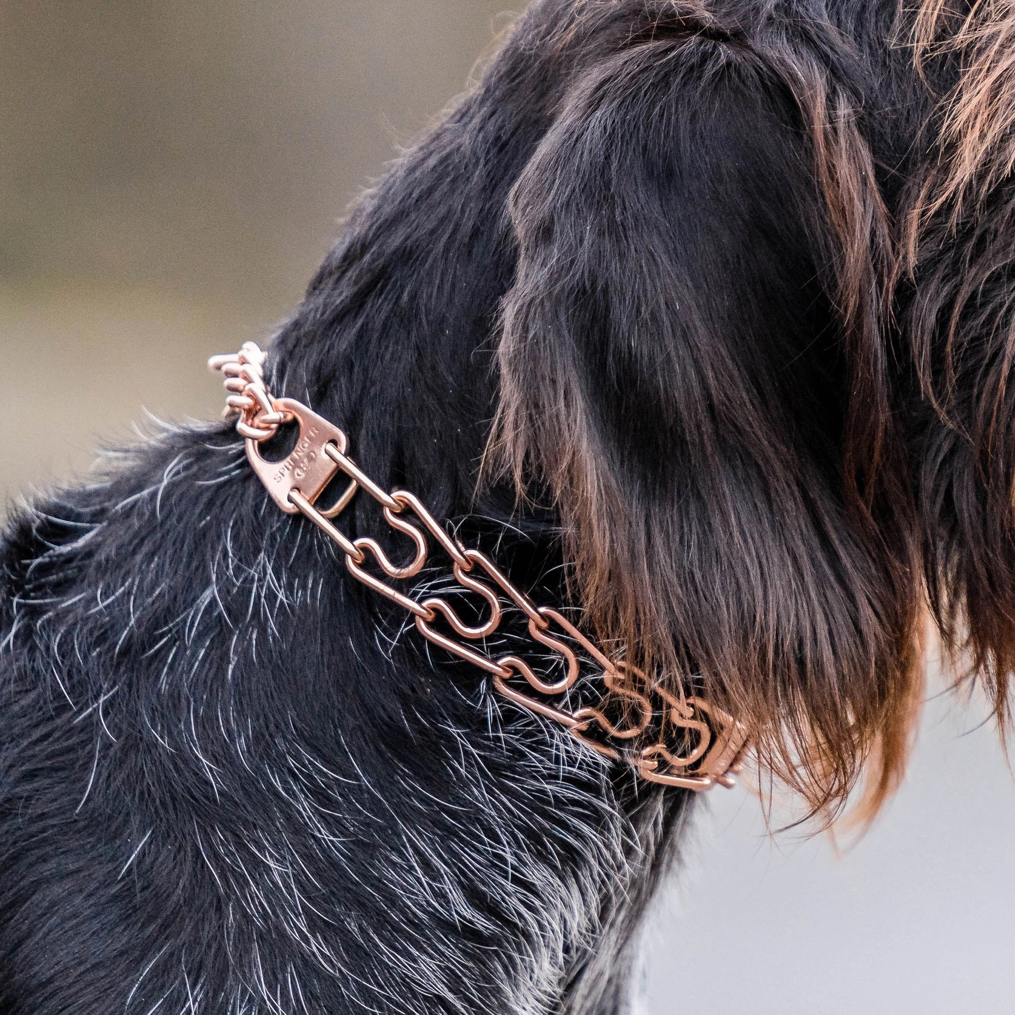 ULTRA-PLUS Collier de dressage avec plaque centrale et chaîne de traction - CUROGAN