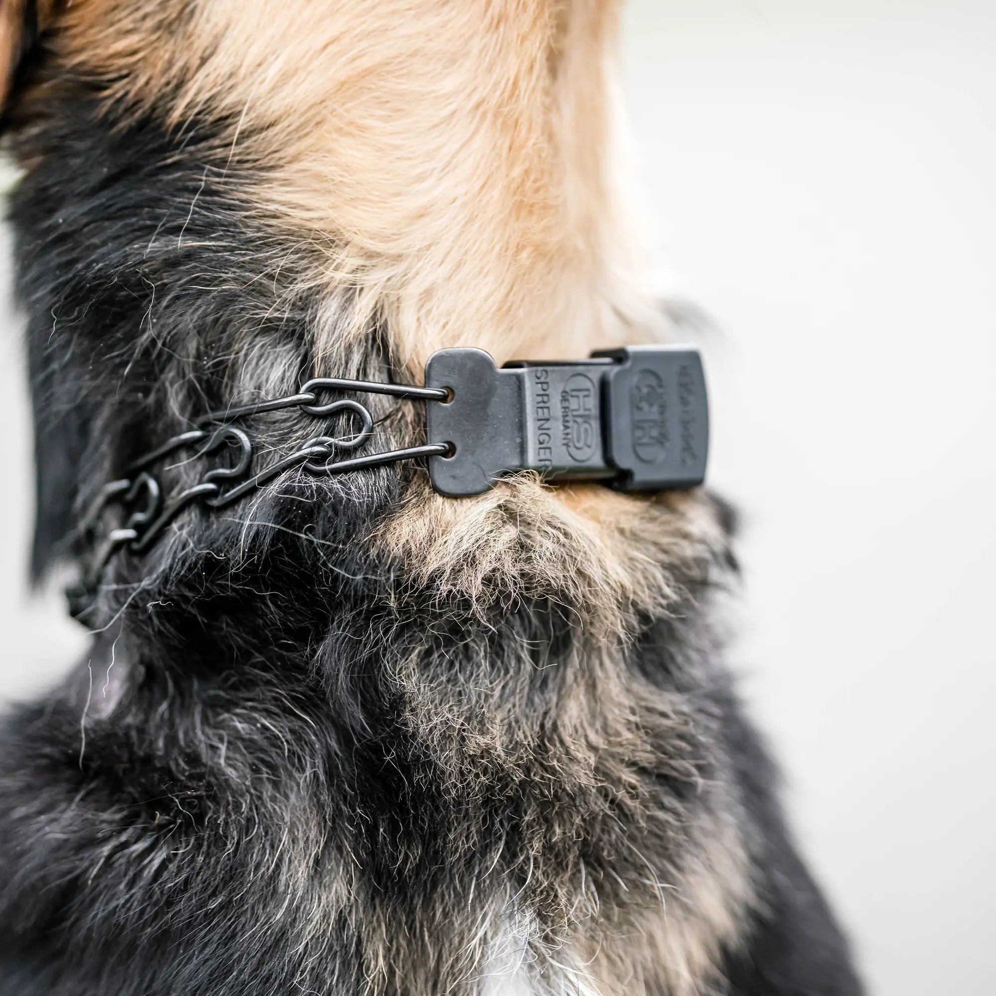 ULTRA-PLUS Collier de dressage avec plaque centrale, chaîne de traction et ClicLock - Acier inoxydable noir