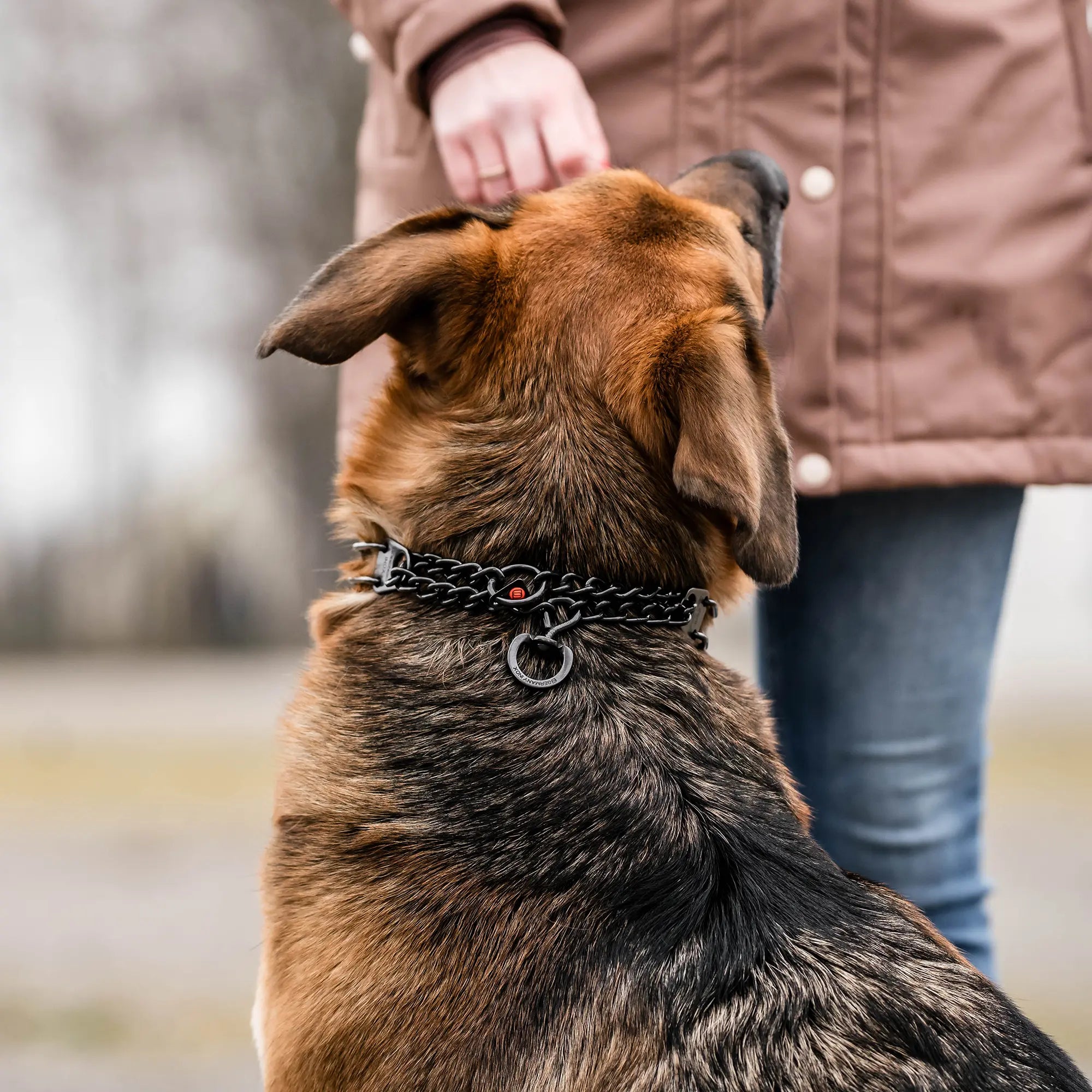 ULTRA-PLUS Collier de dressage avec plaque centrale, chaîne de traction et ClicLock - Acier inoxydable noir