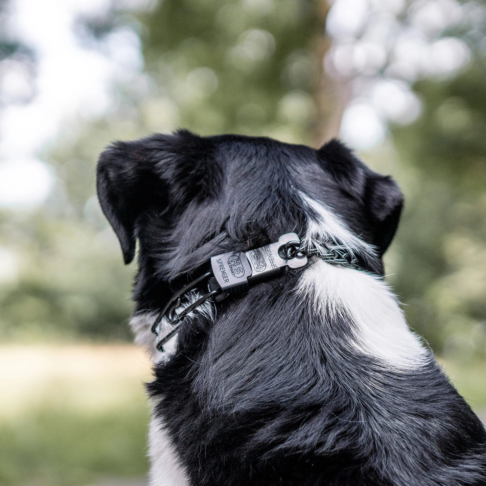 ULTRA-PLUS Collier de dressage avec plaque centrale, chaîne de traction et ClicLock - Acier inoxydable noir