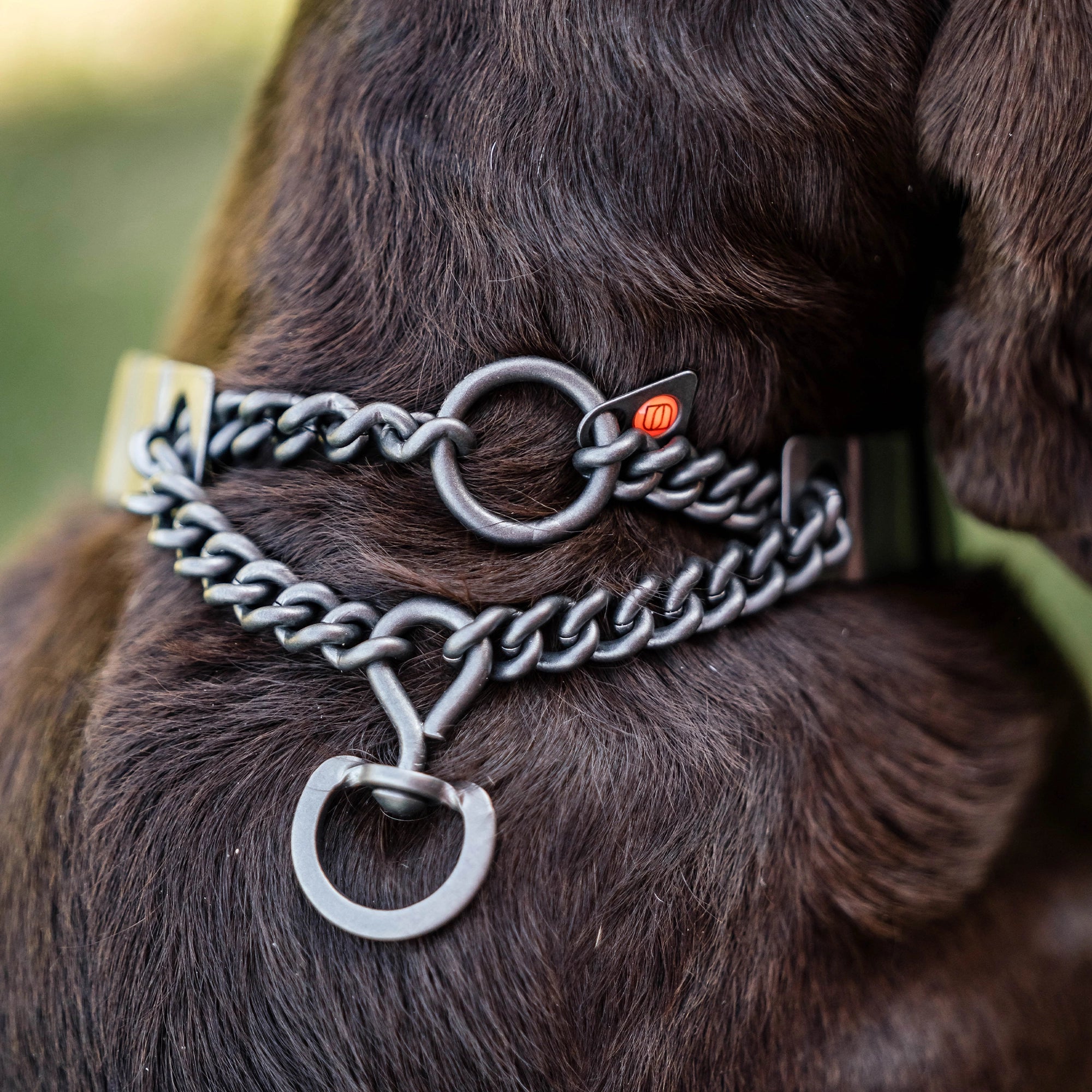 NeckTech Fun with Assembly Chain and ClicLock - Stainless steel black mat