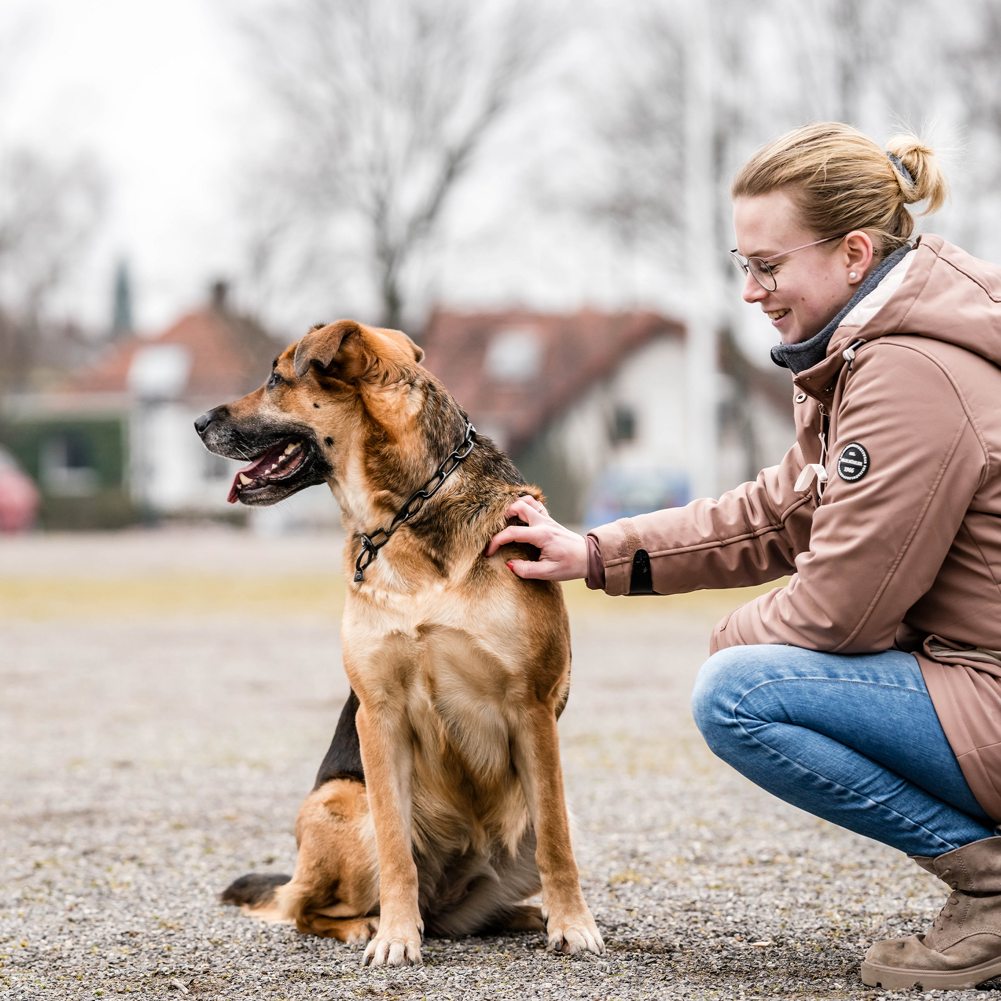 Frau krault Hund mit schwarzen Edlestahl Kettenhalsband