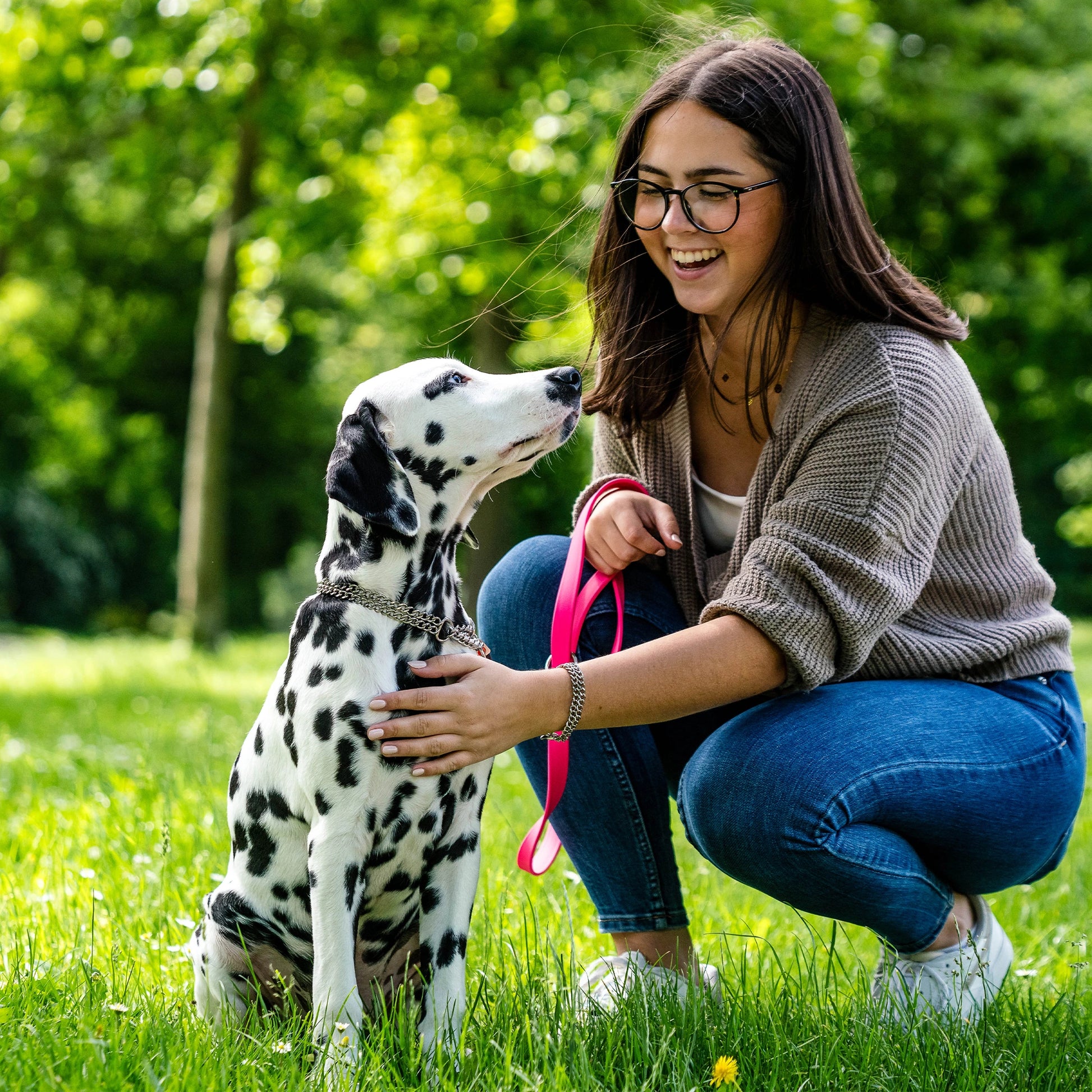 Dalmatiner mit 2 reihigen Edelstahl Halsband an pinker Leine im Park