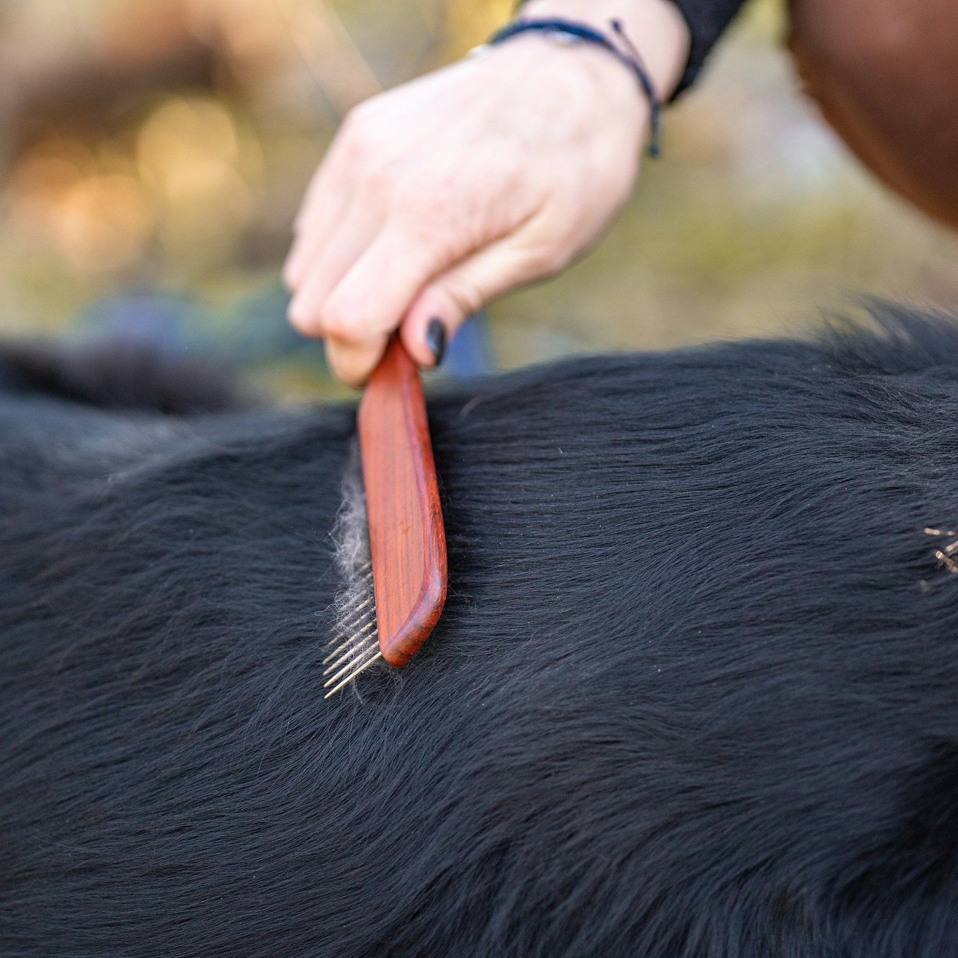Hundekamm mit Stahlzinken am Hundefell