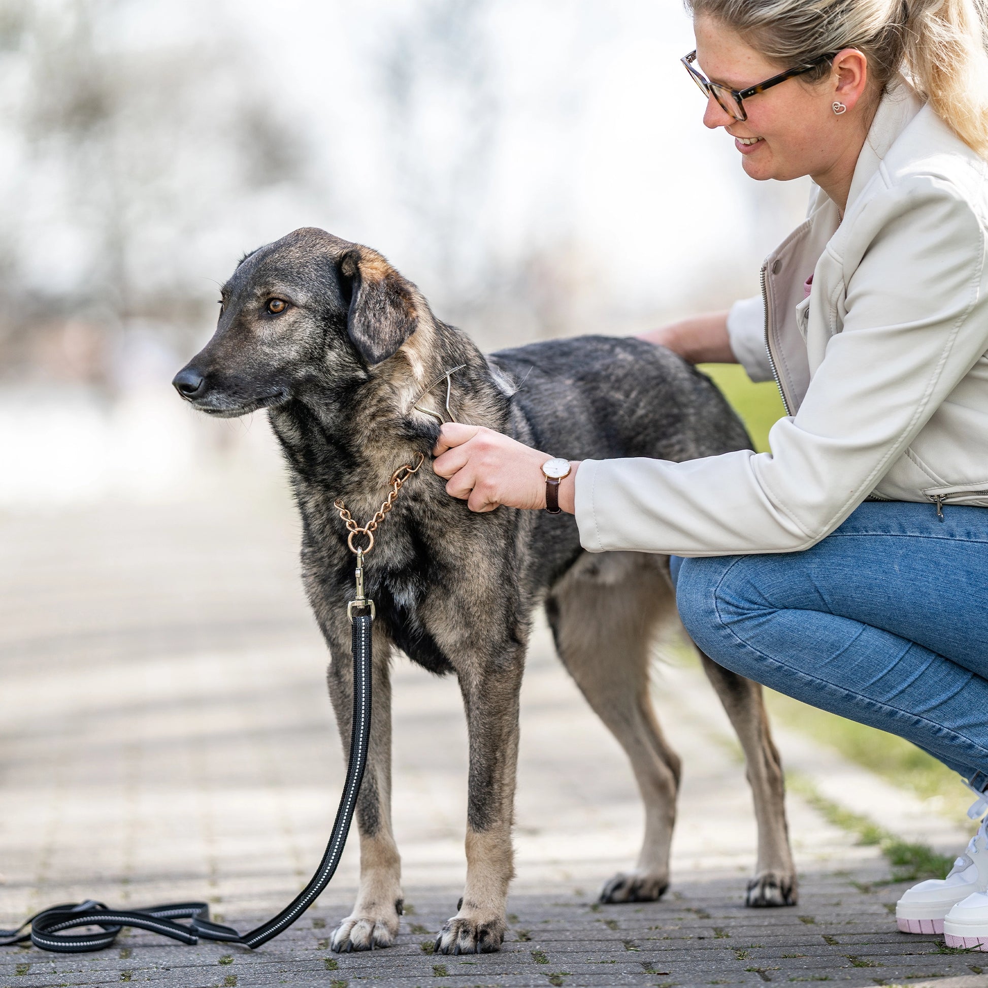 Frau nutzt Hundekratzer Stahl vernickelt am Hund