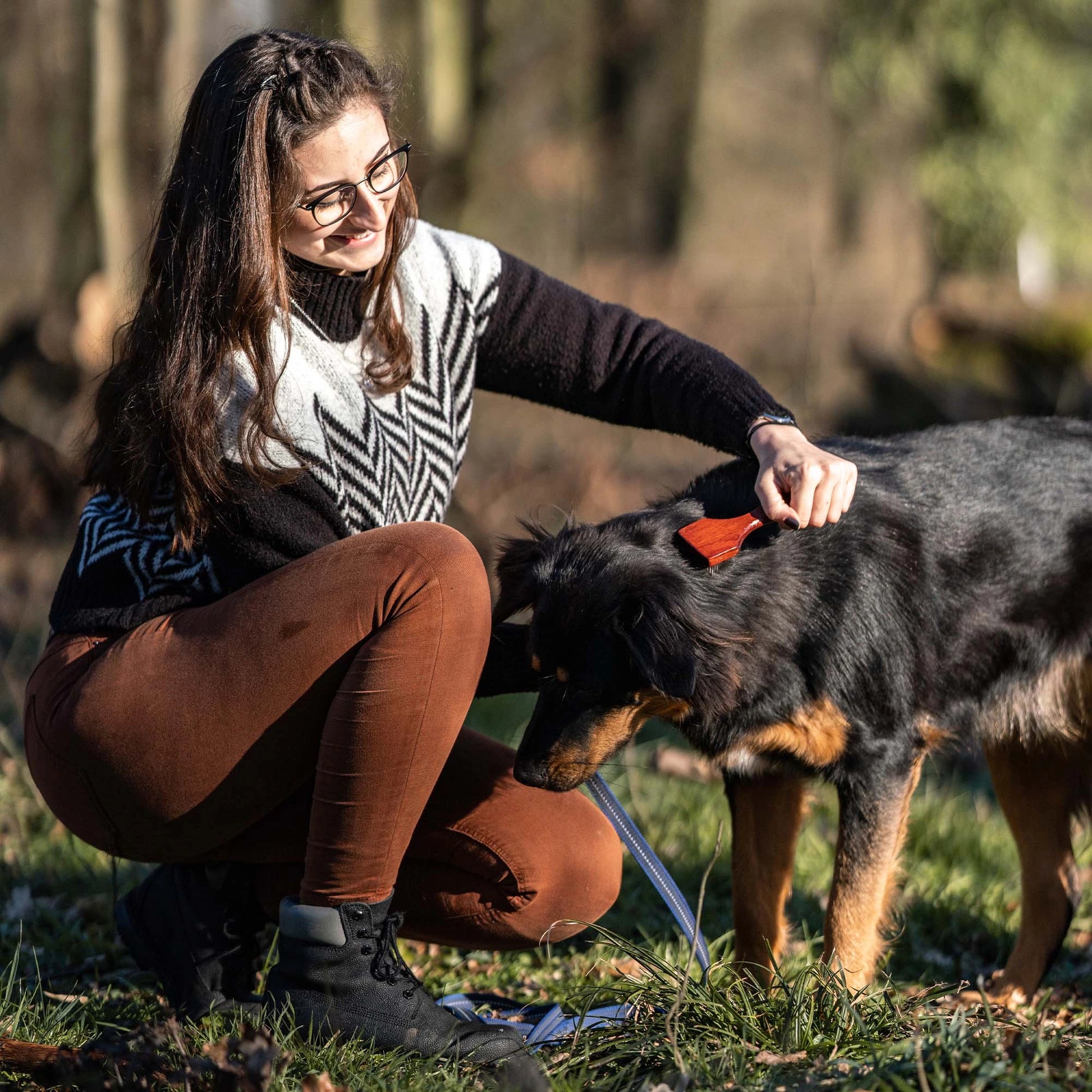 Hundekratzer - 2 reihig mit Stahlzinken am Hund