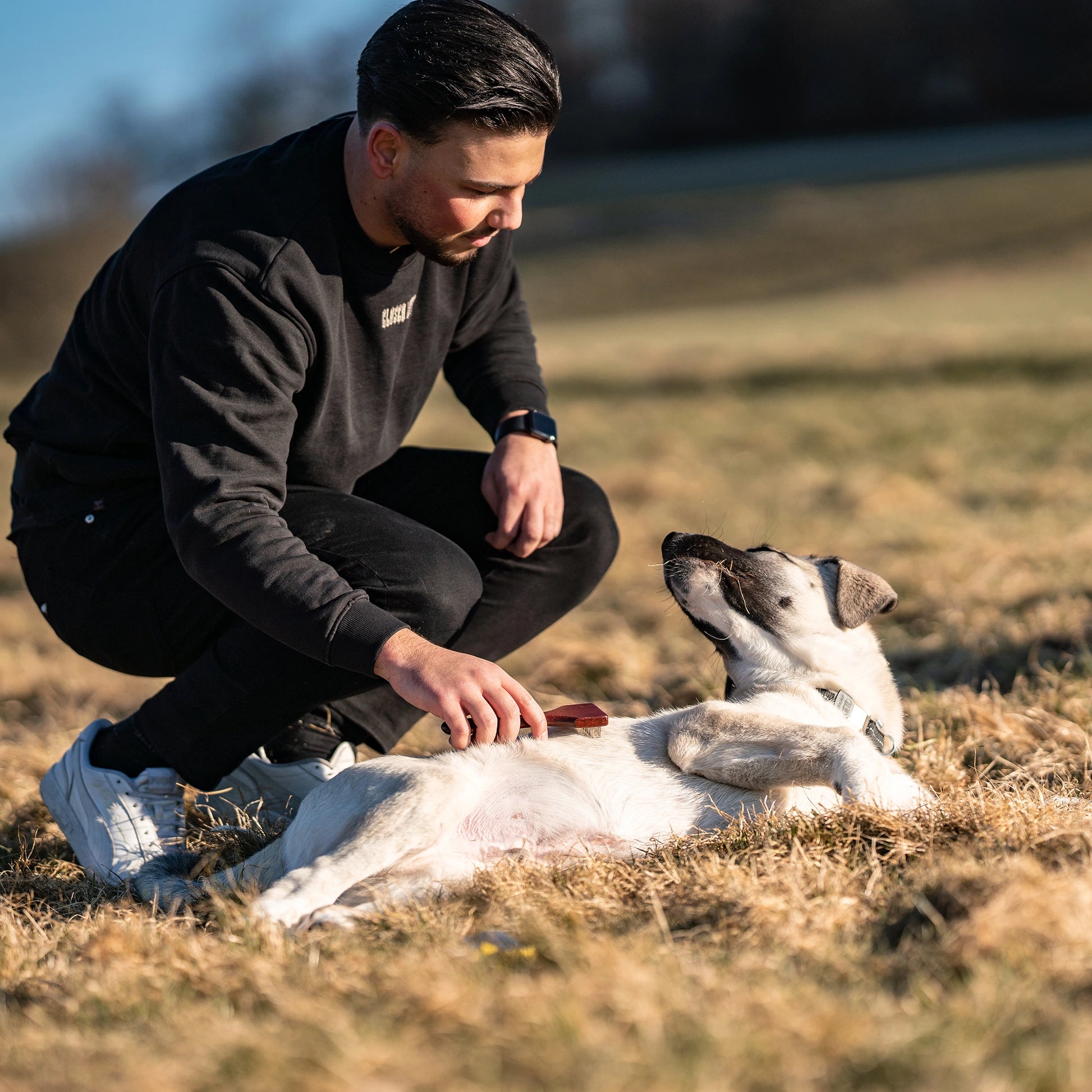 Hundekratzer 2 reihig mit Stahlzinken am Hund