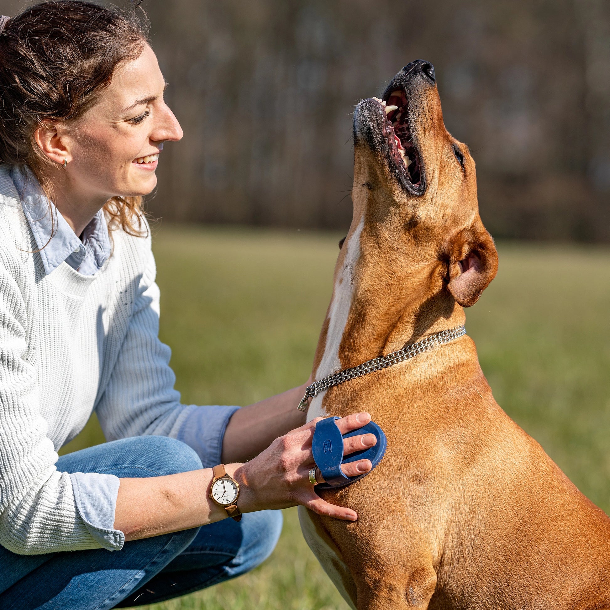 Striegel, oval aus Gummi, blau am Hund