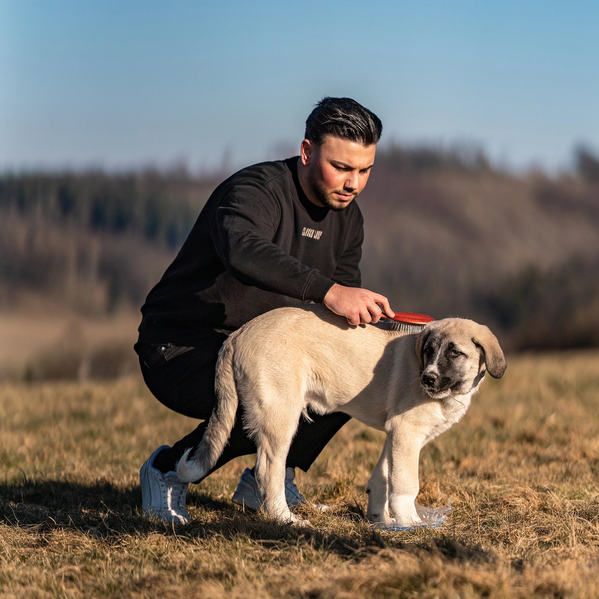 Hundebürste gestaucht mit Metallstiften am Hund