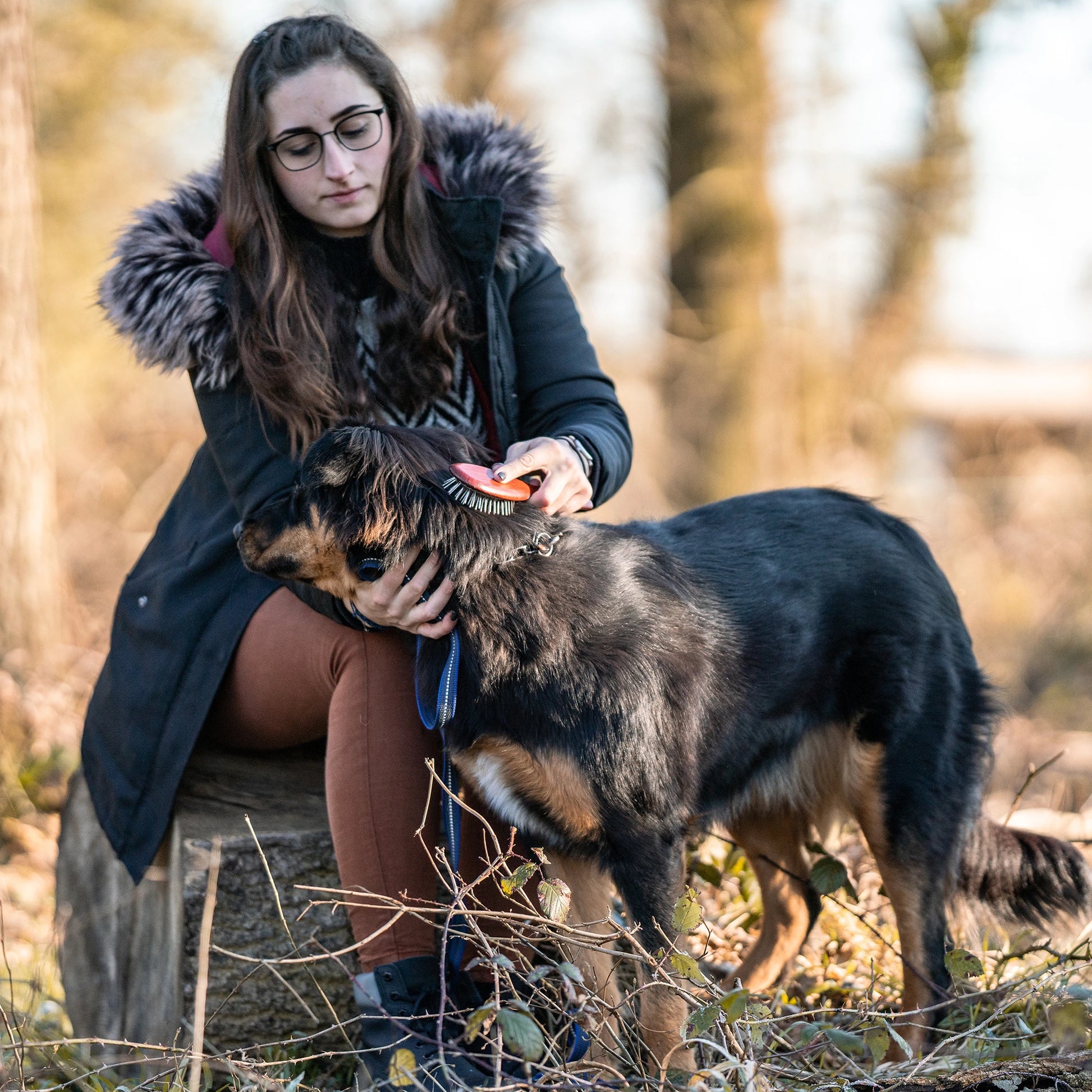 Hundebürste - gestaucht mit Metallstiften am Hundekopf