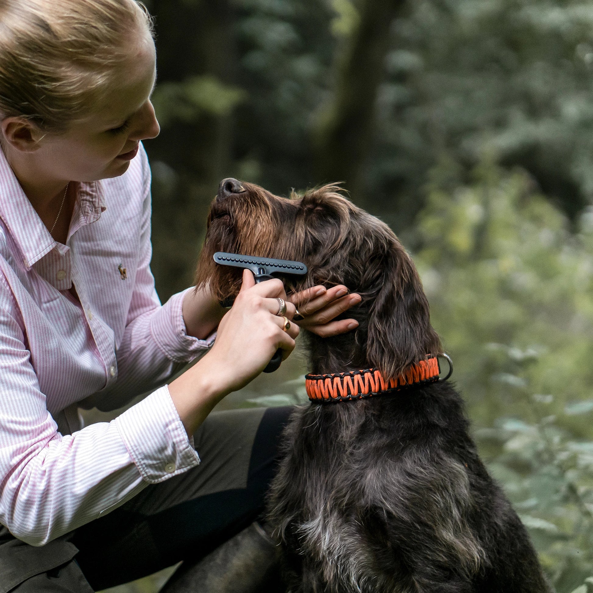 Hundekratzer Stahl beschichtet am Hunde Gesicht